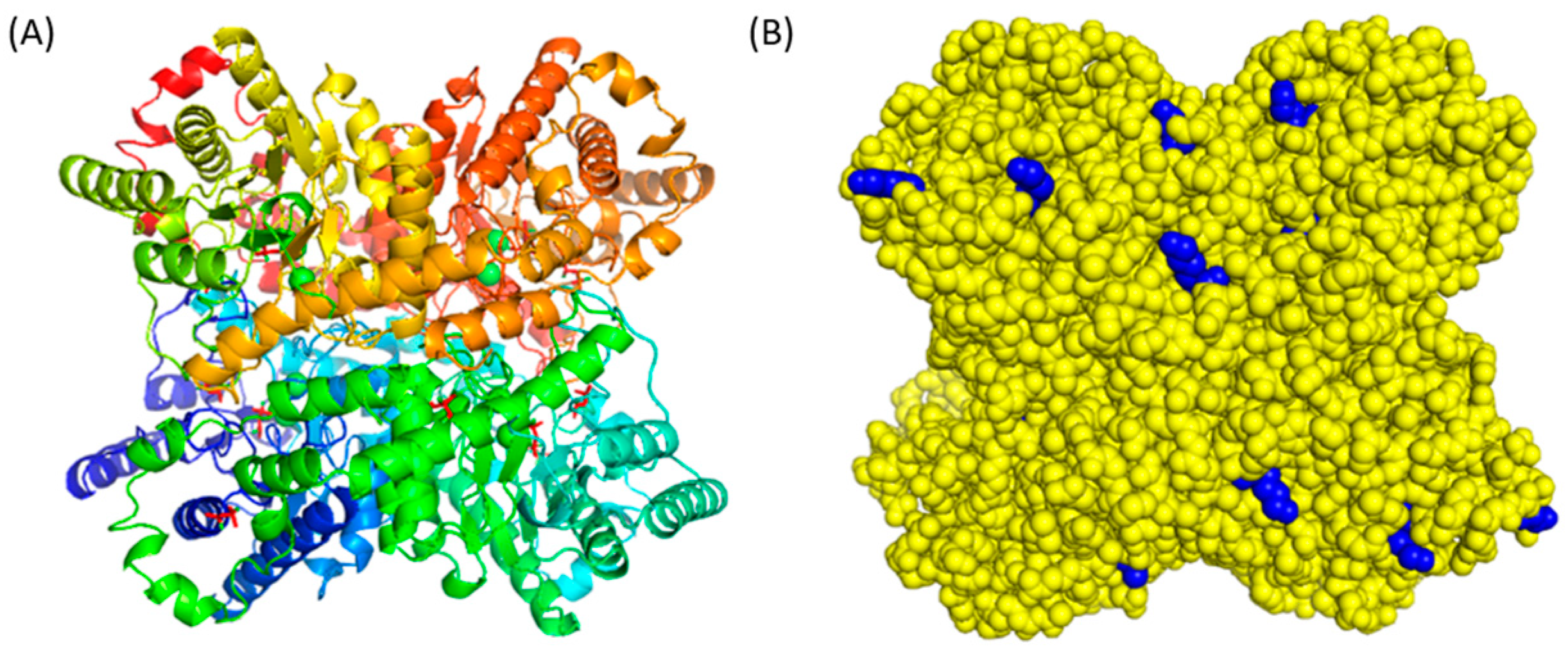 Fermentation 10 00659 g001