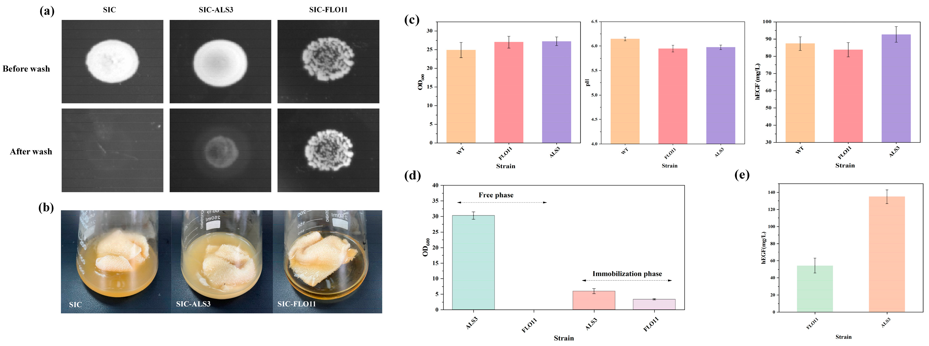 Fermentation 10 00661 g003