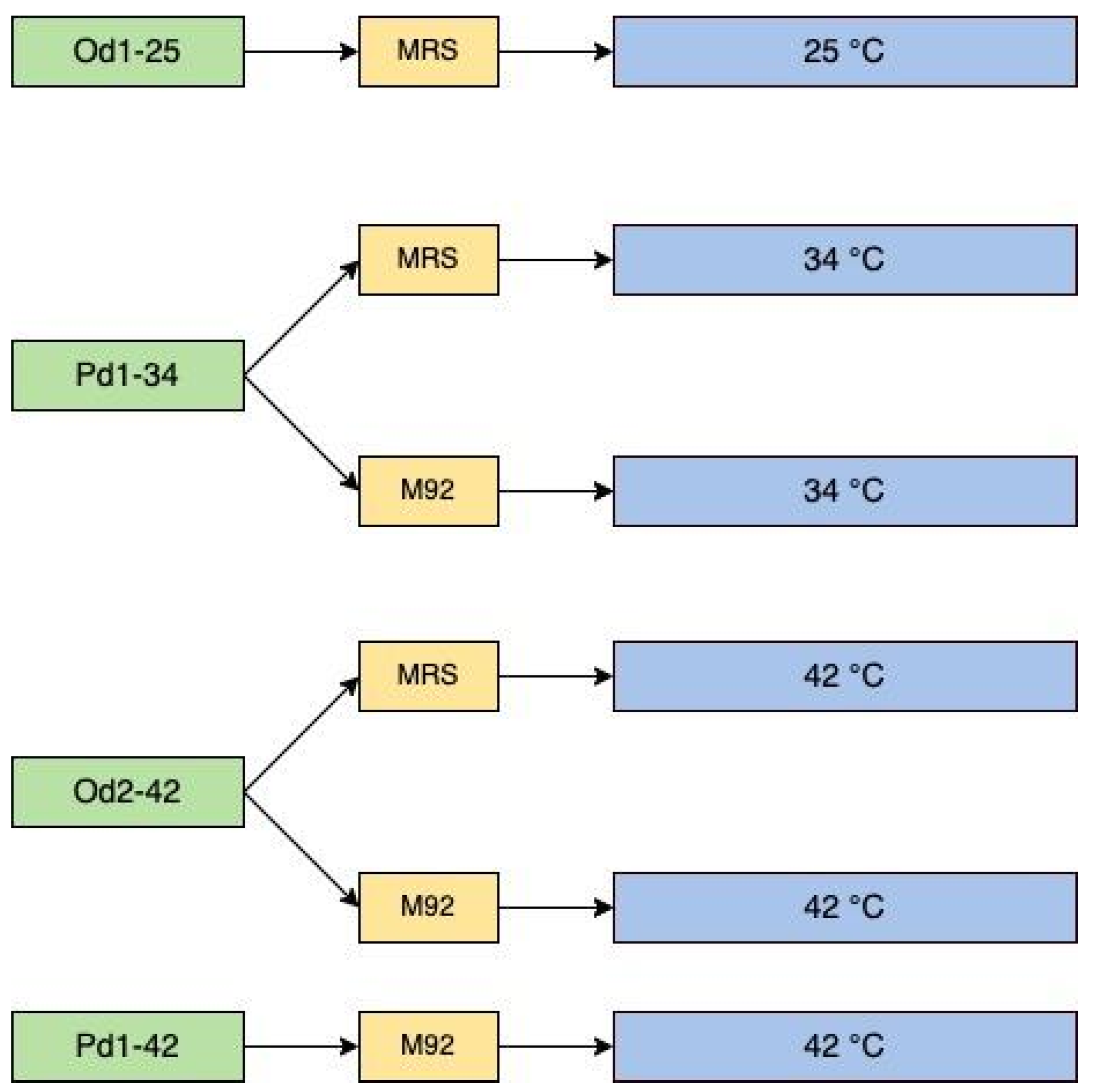 Fermentation 10 00663 g002