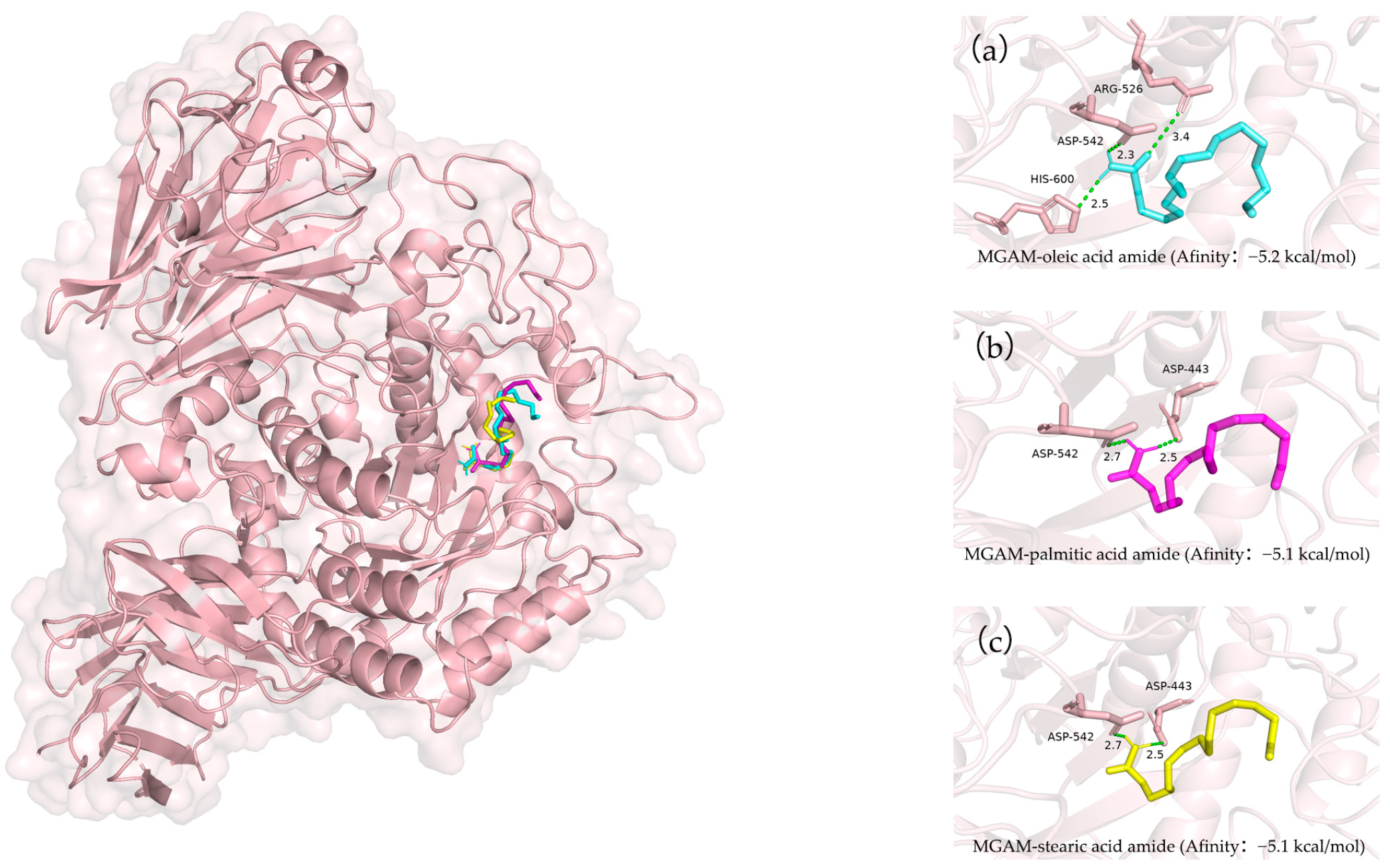 Fermentation 11 00001 g003