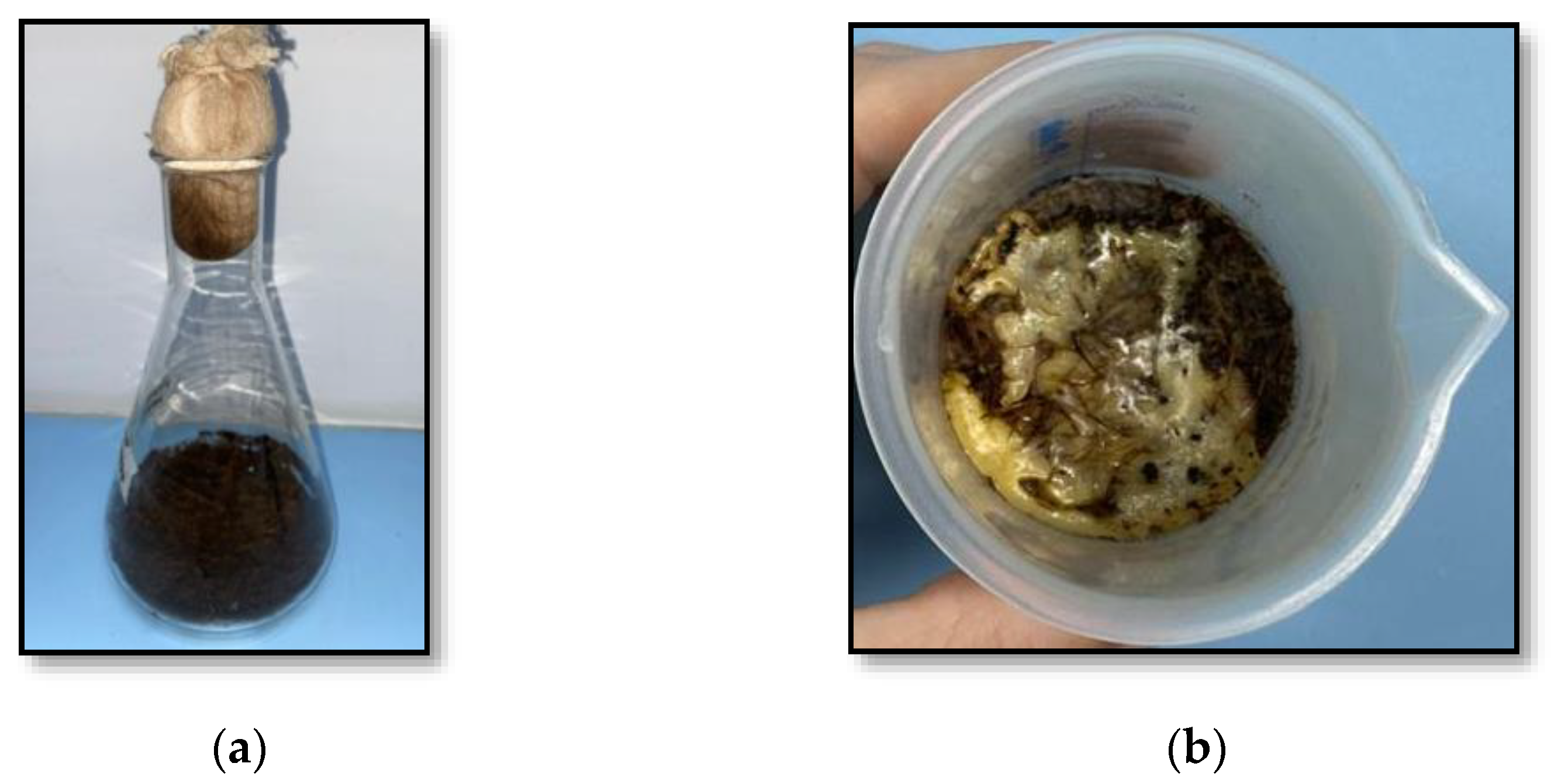 Fermentation 11 00003 g003