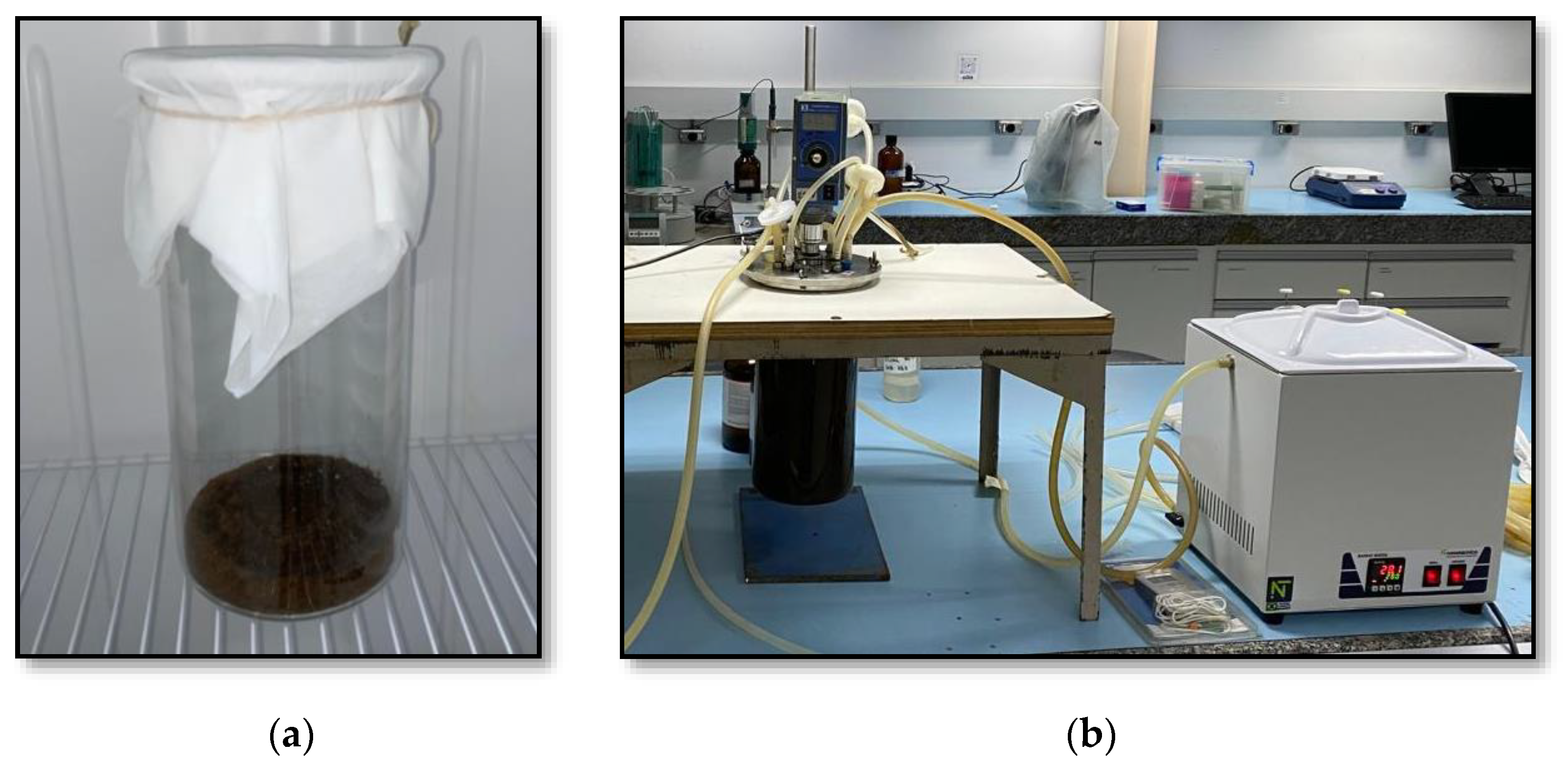 Fermentation 11 00003 g010