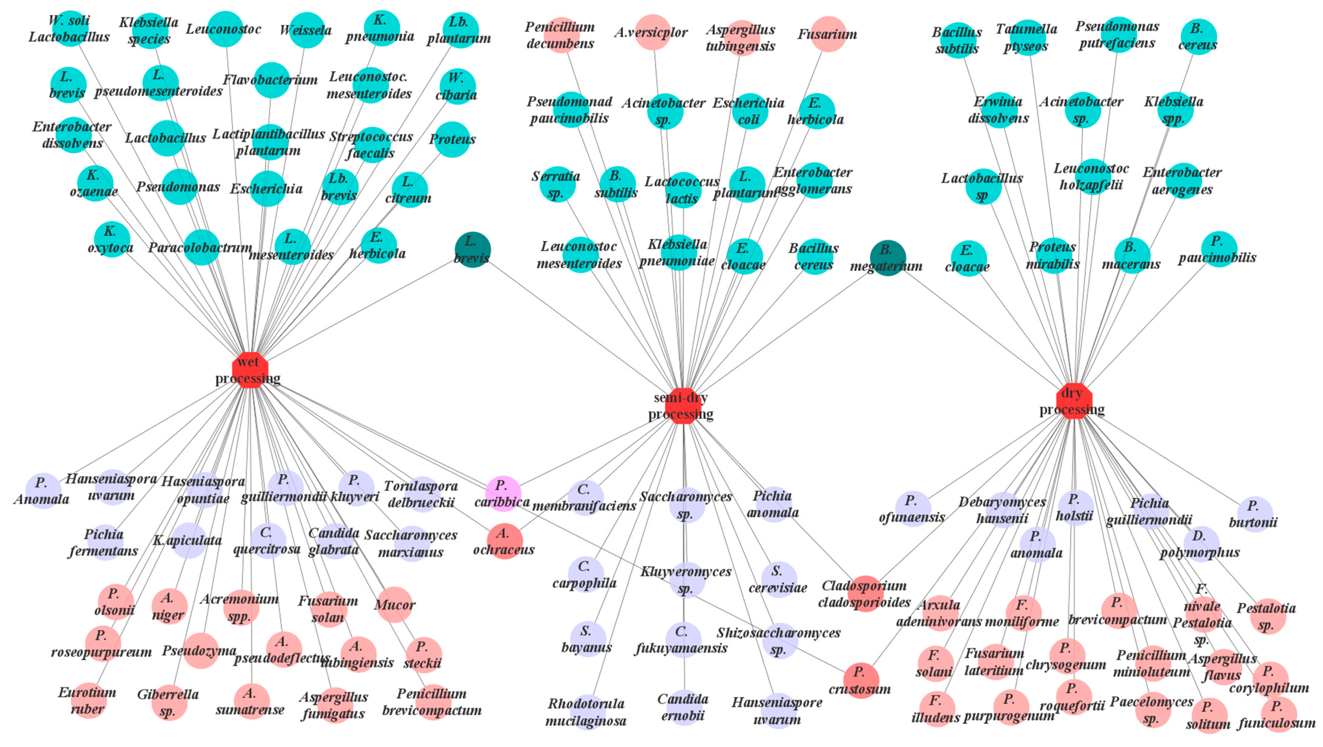 Fermentation 11 00005 g004