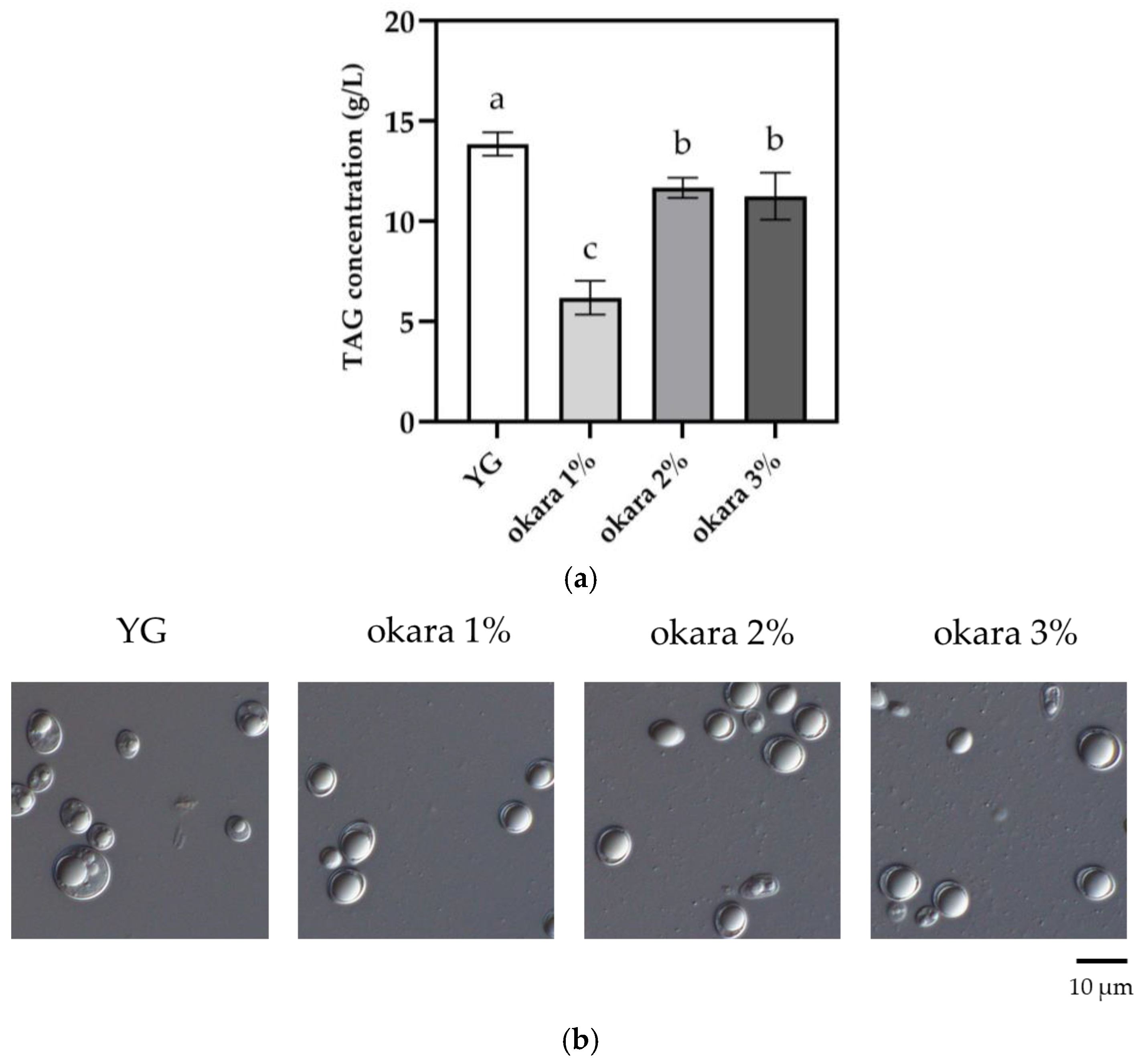 Fermentation 11 00007 g001