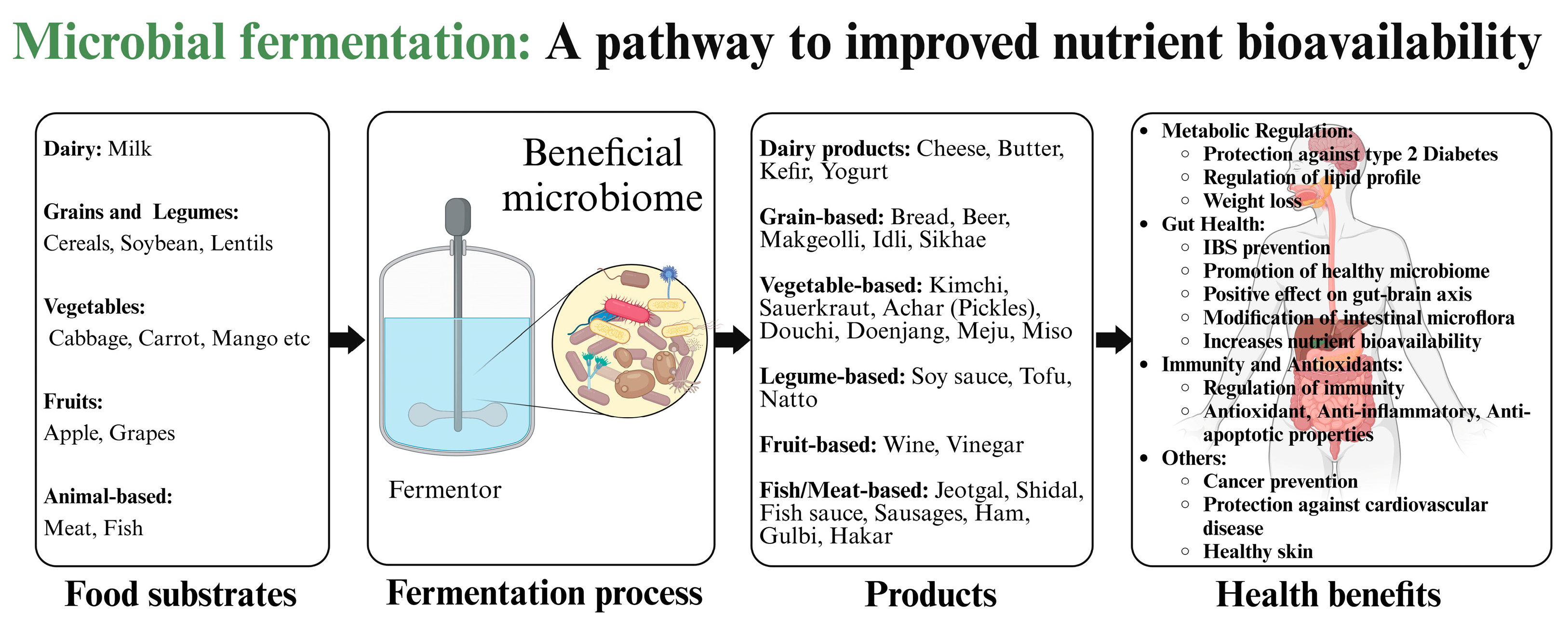 Fermentation 11 00015 g001