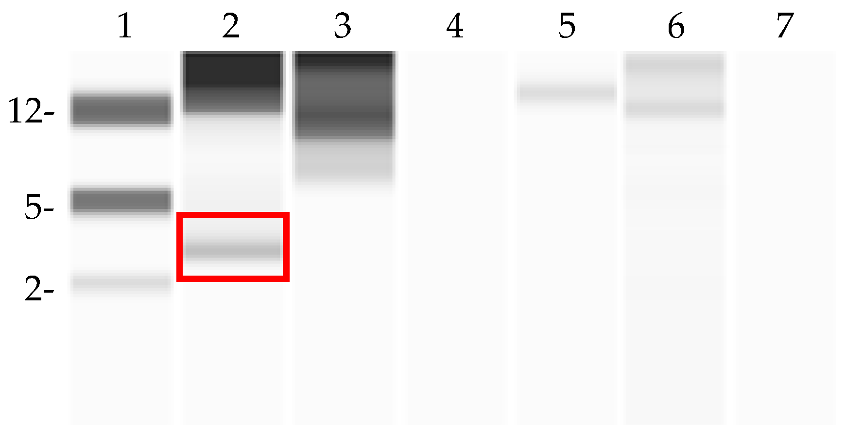 Fermentation 11 00021 g002