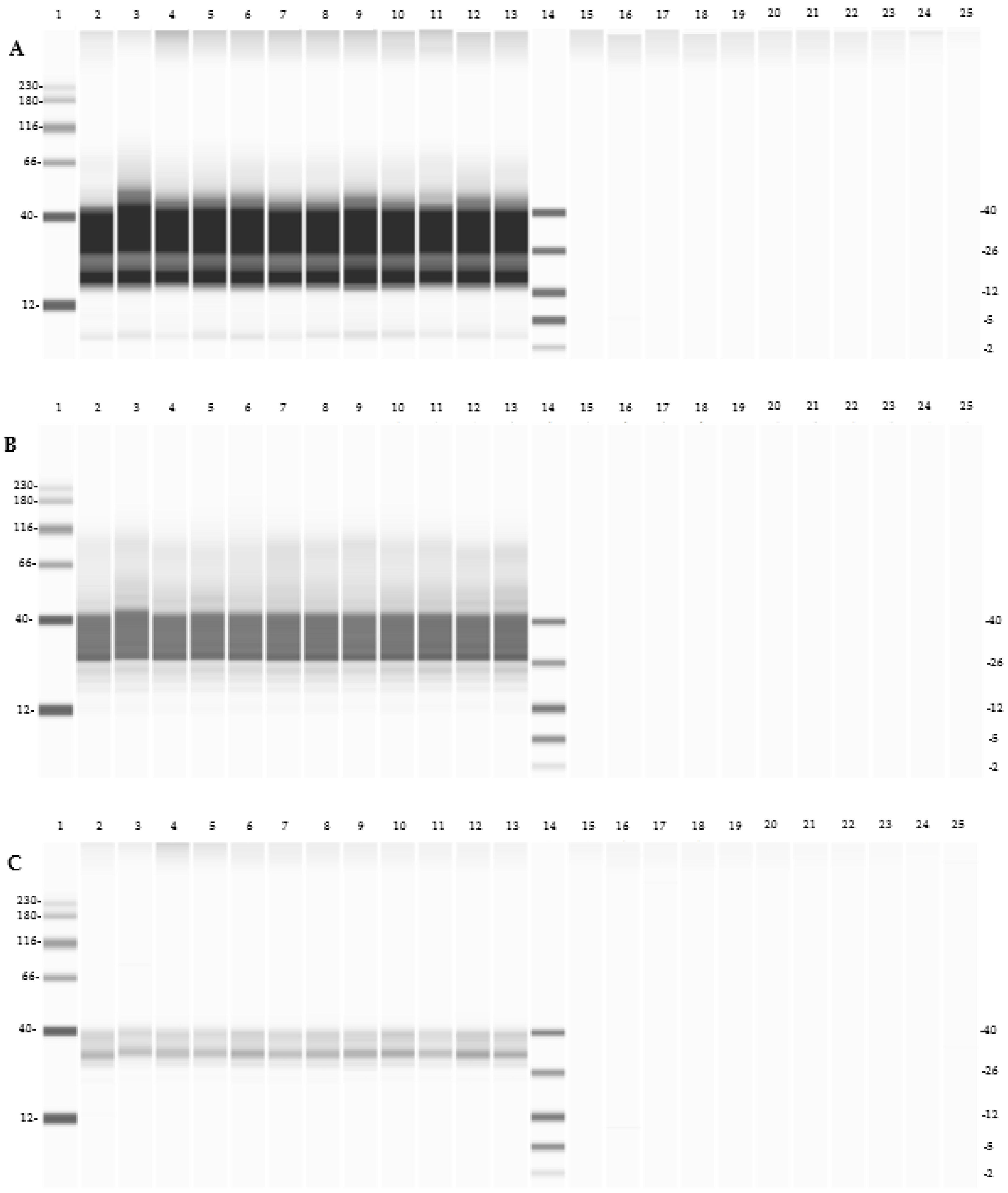 Fermentation 11 00021 g004a