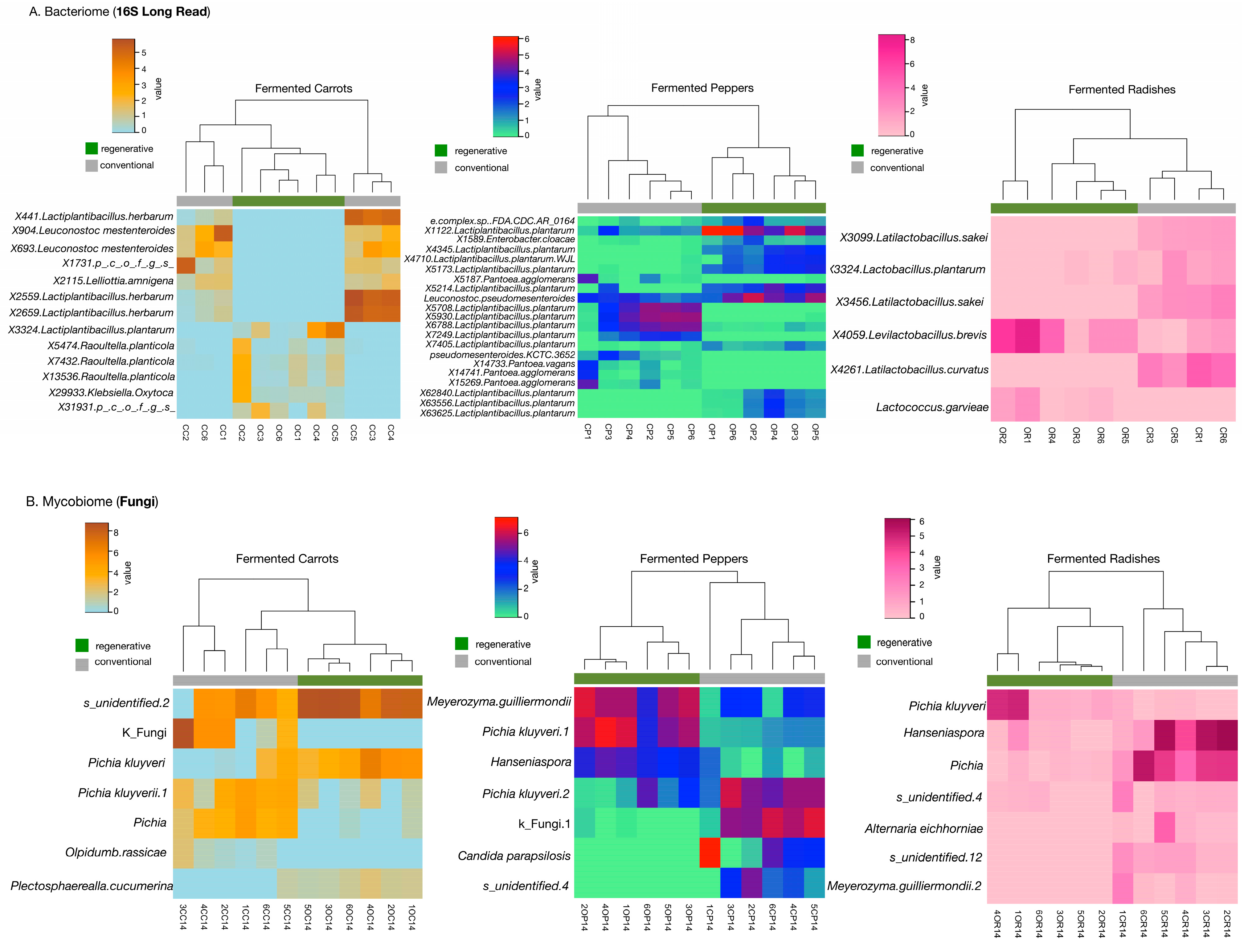 Fermentation 11 00022 g004