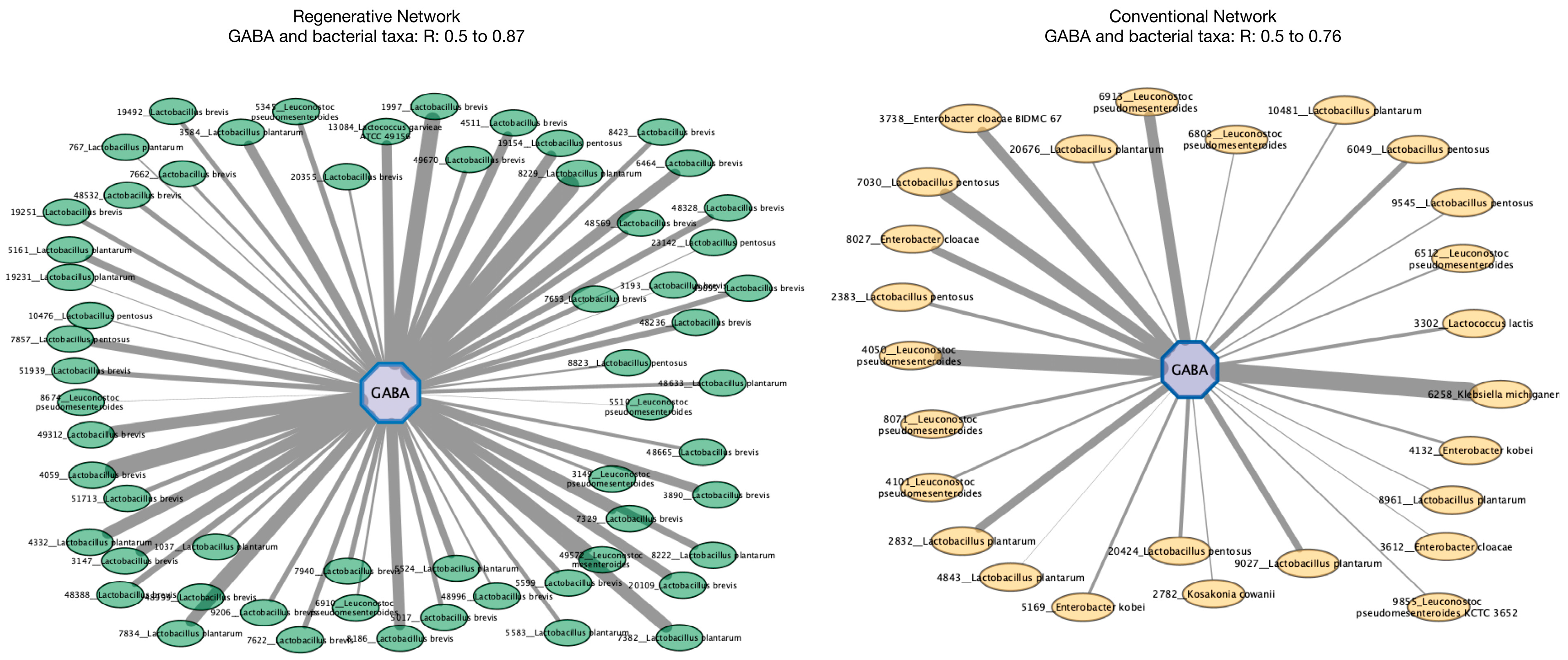 Fermentation 11 00022 g008