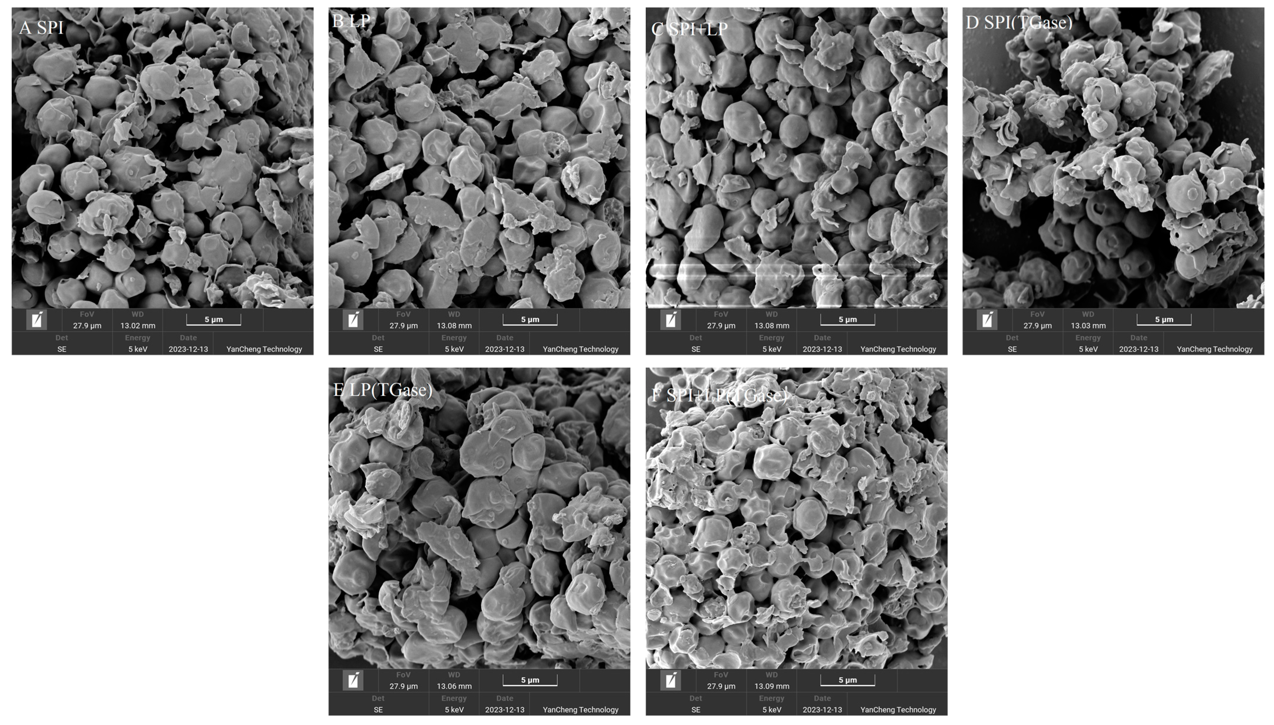 Fermentation 11 00029 g005