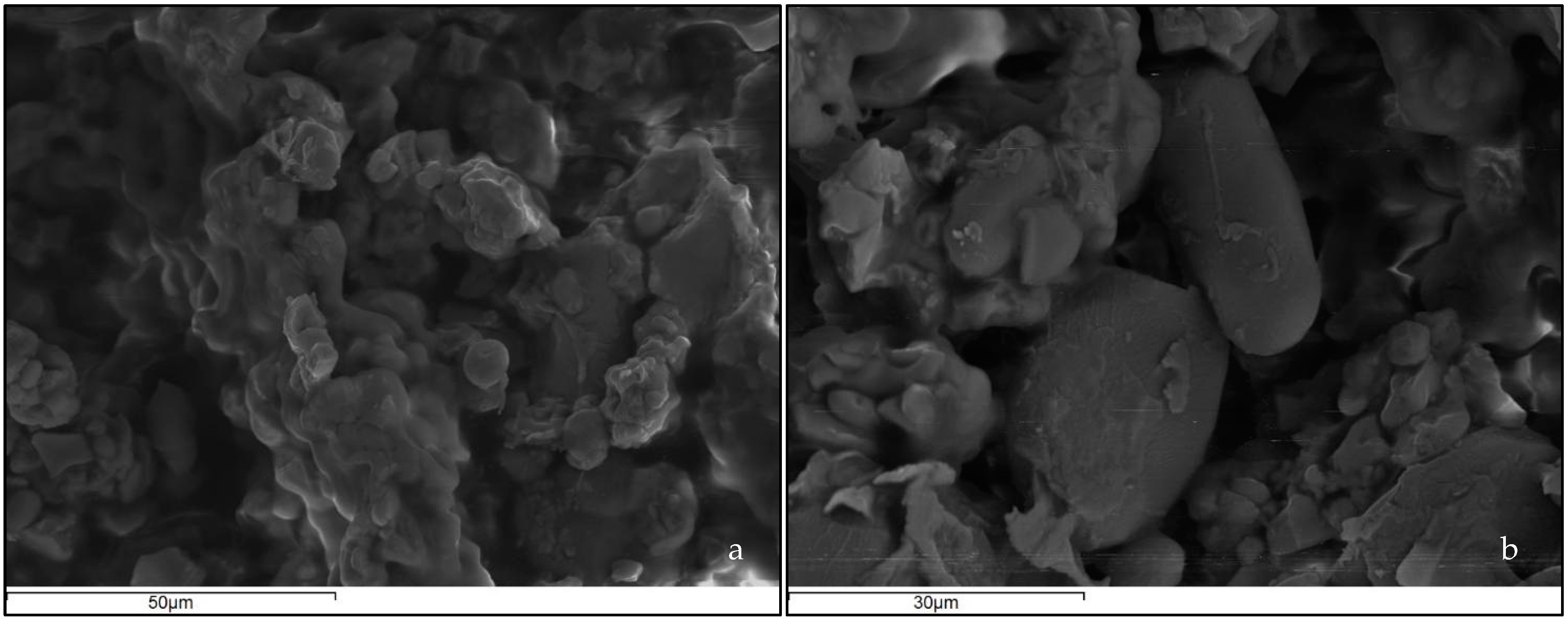 Fermentation 11 00037 g003 Fermentation 11 00037 g003