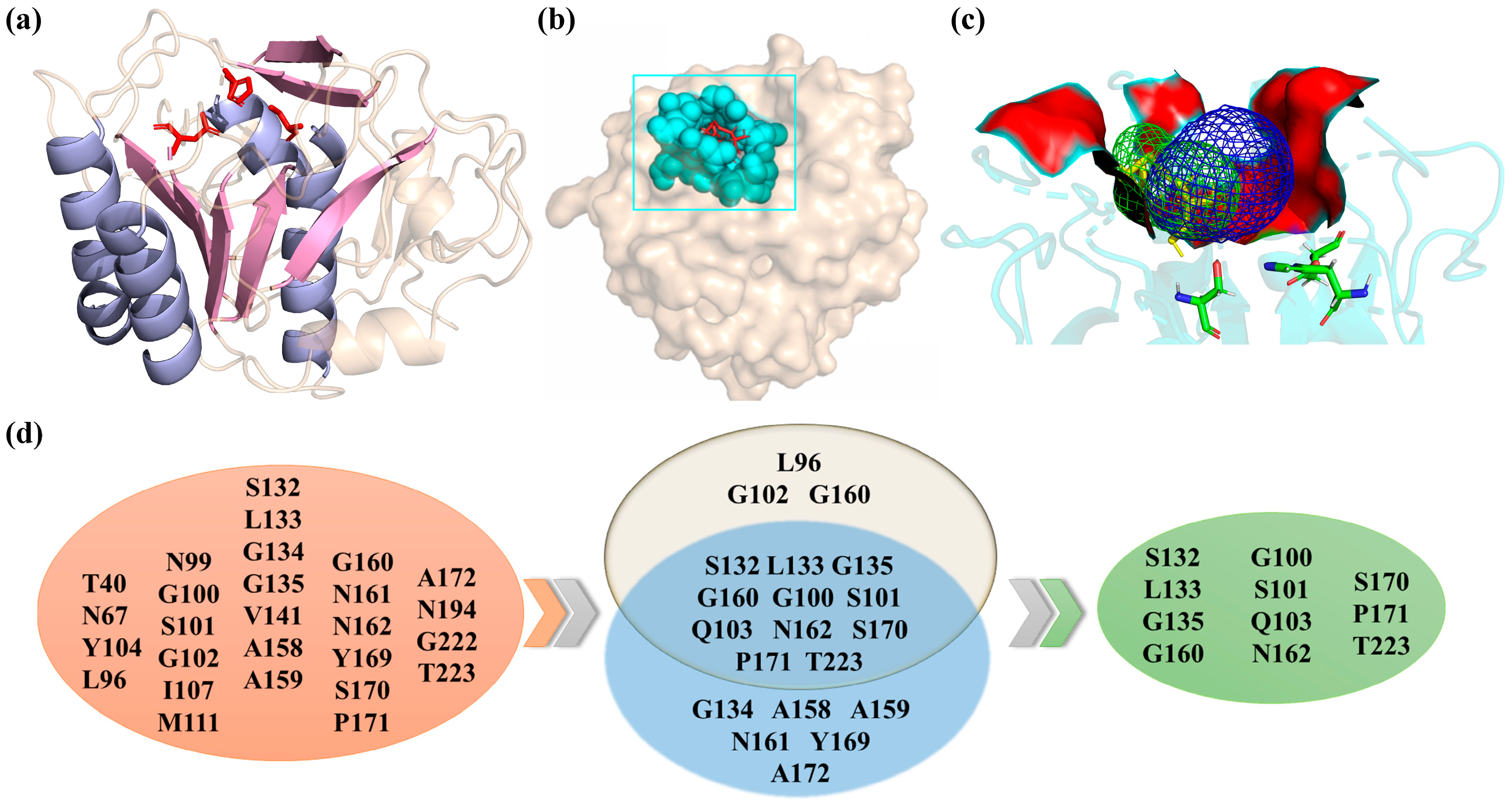 Fermentation 11 00051 g001