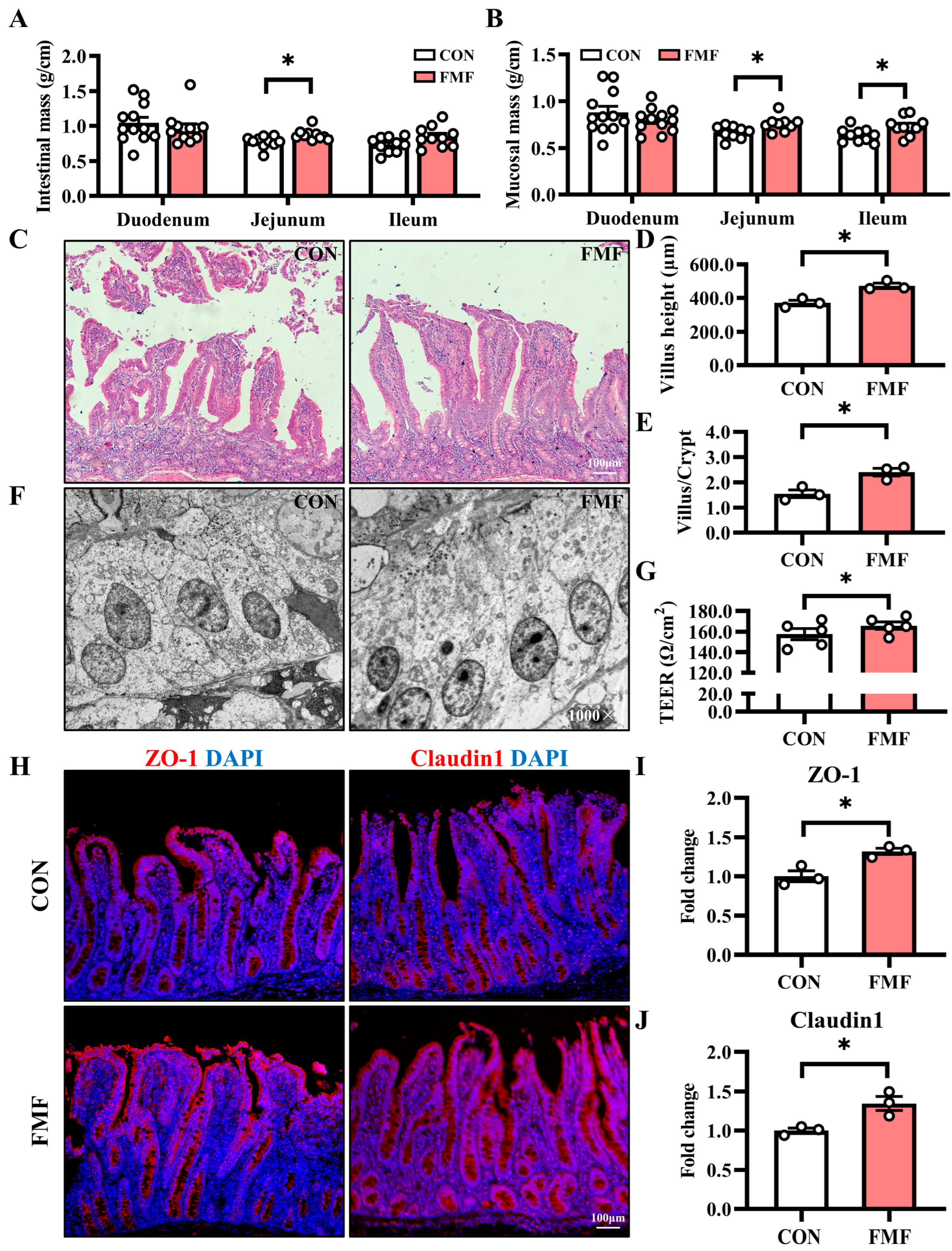 Fermentation 11 00052 g002