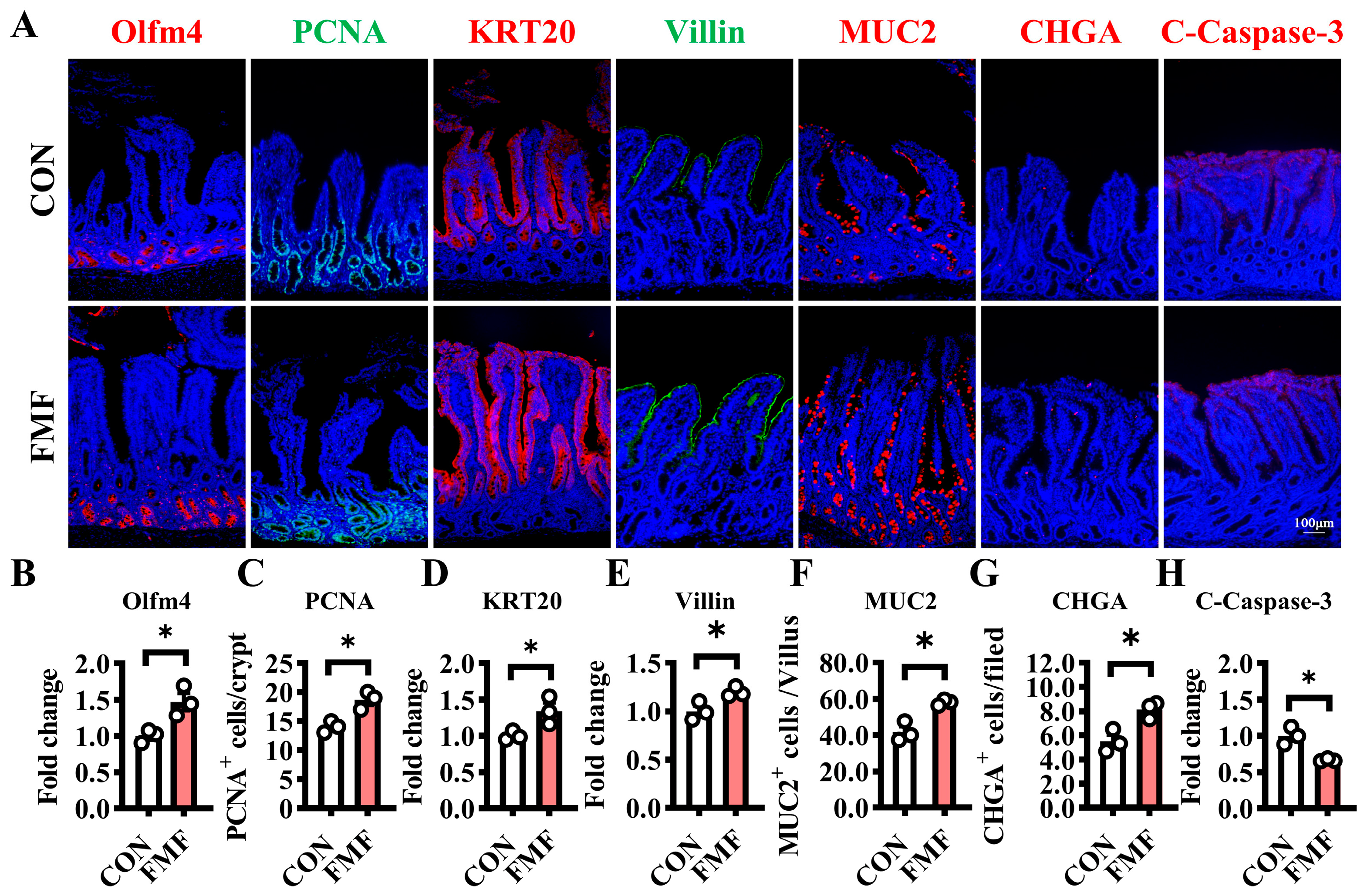 Fermentation 11 00052 g003