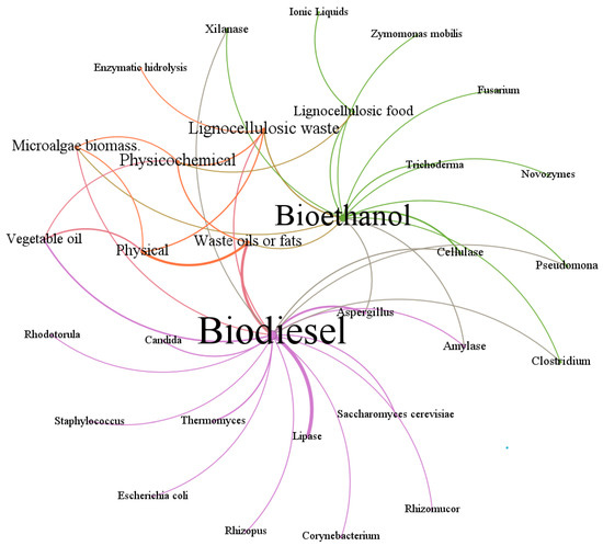 Enzymes Produced by the Genus Aspergillus Integrated into