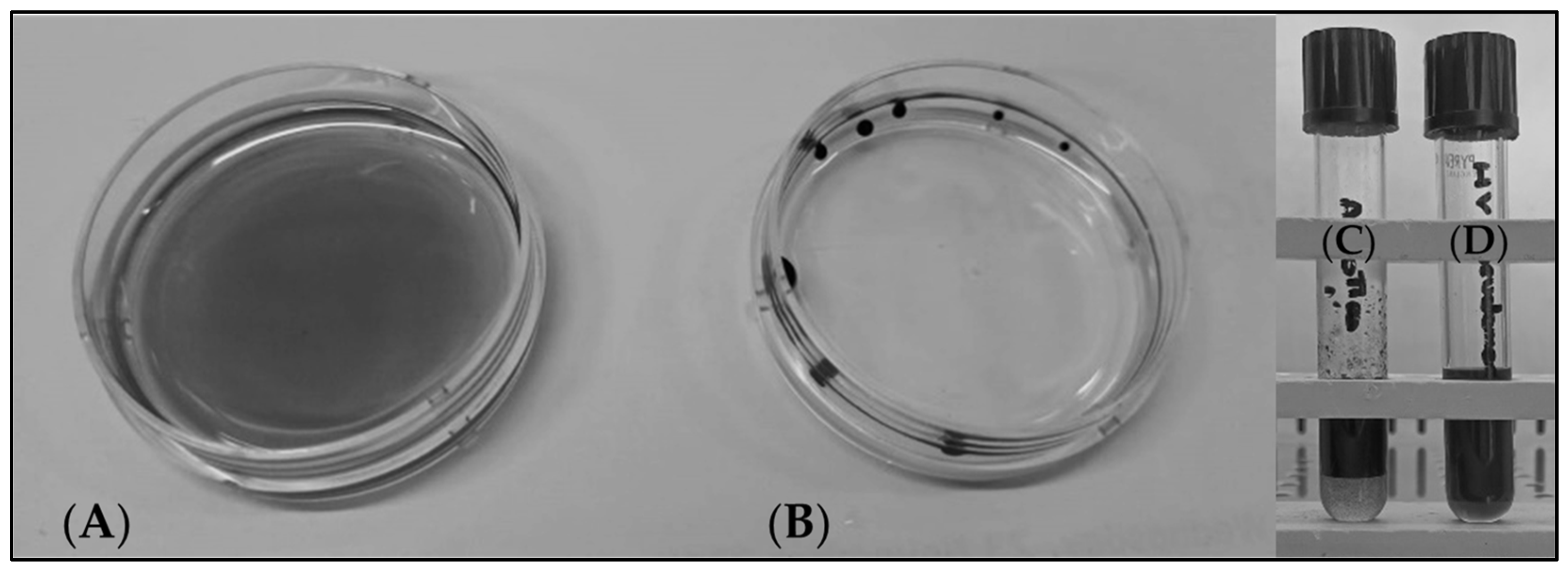 Fermentation 11 00074 g002