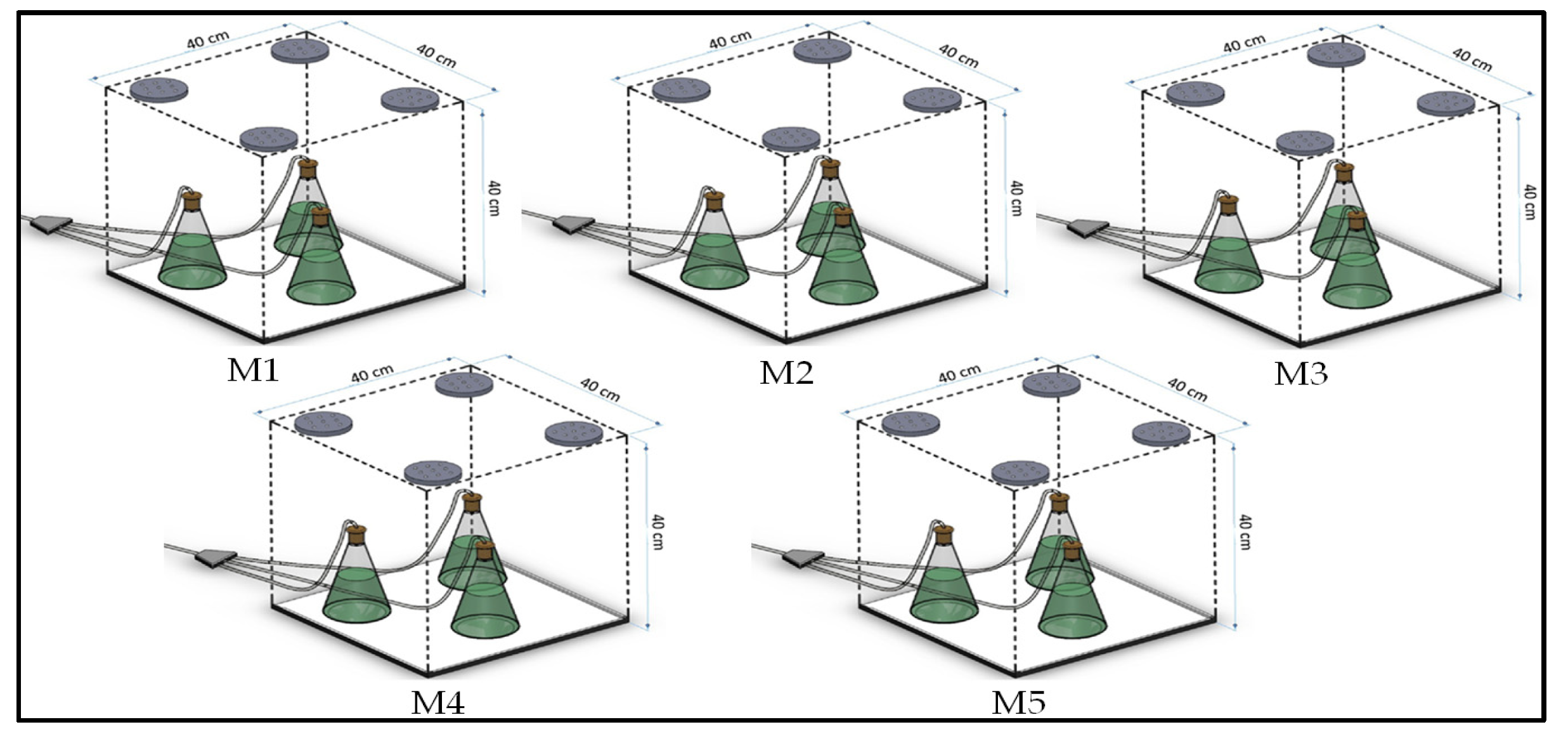 Fermentation 11 00089 g001