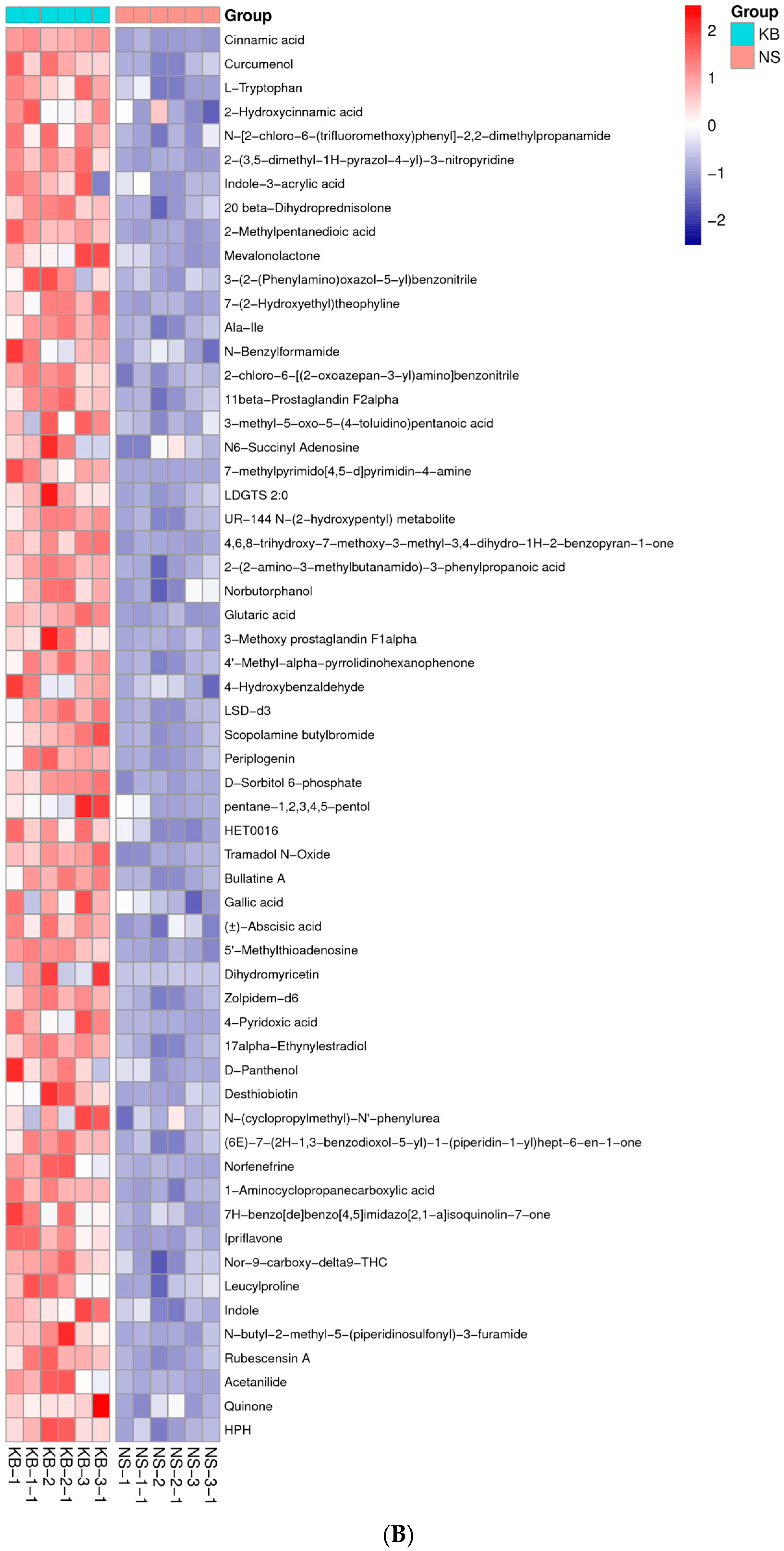 Fermentation 11 00090 g006b