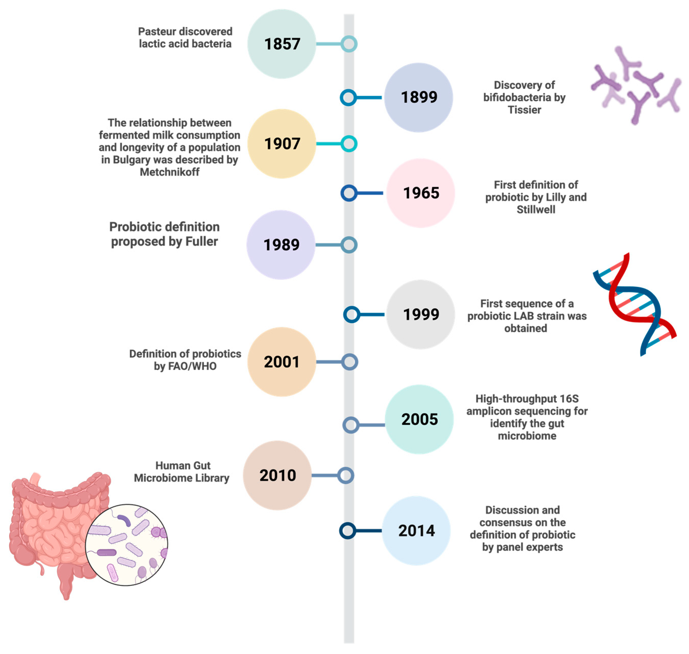 Fermentation 11 00095 g001 Fermentation 11 00095 g001