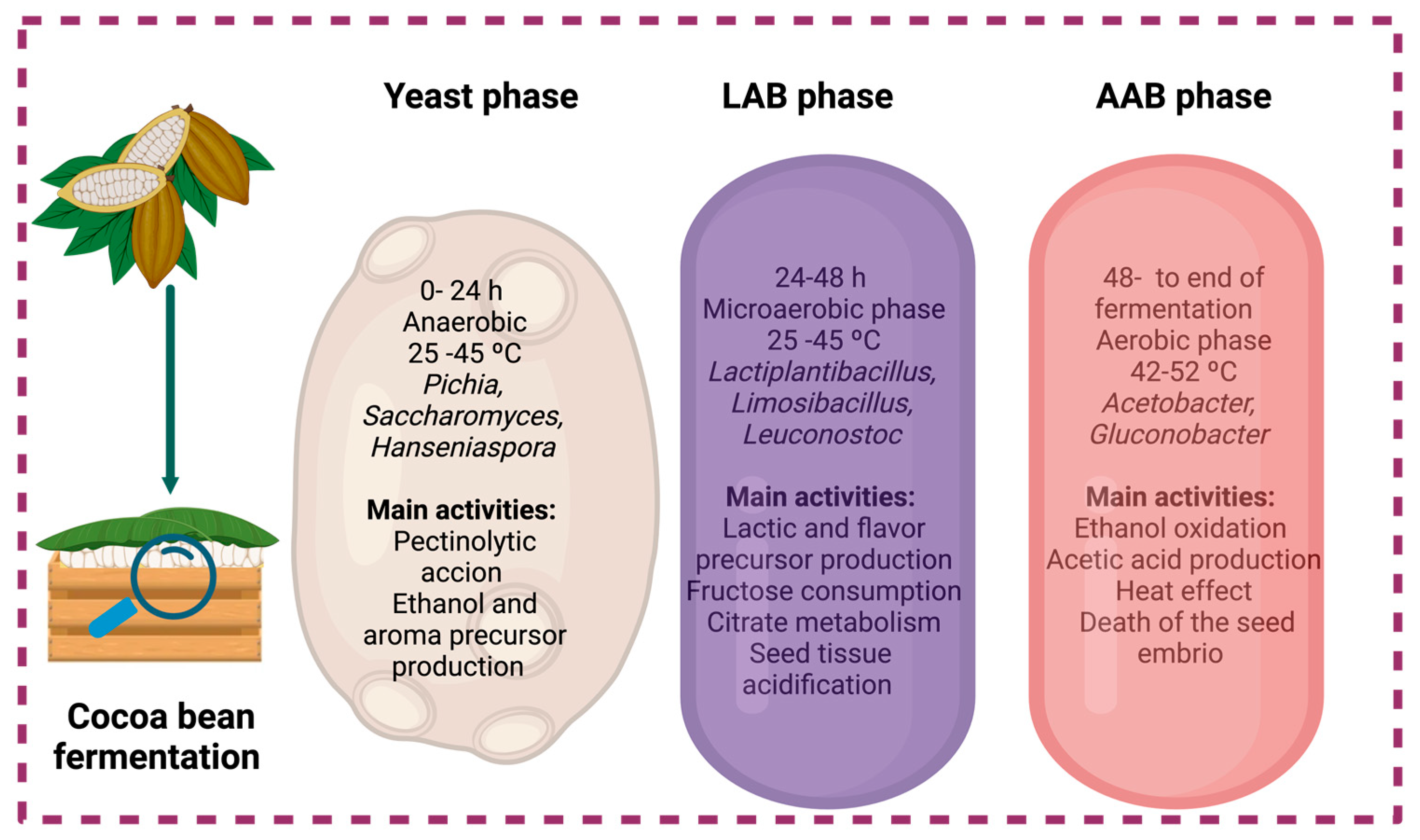 Fermentation 11 00095 g004