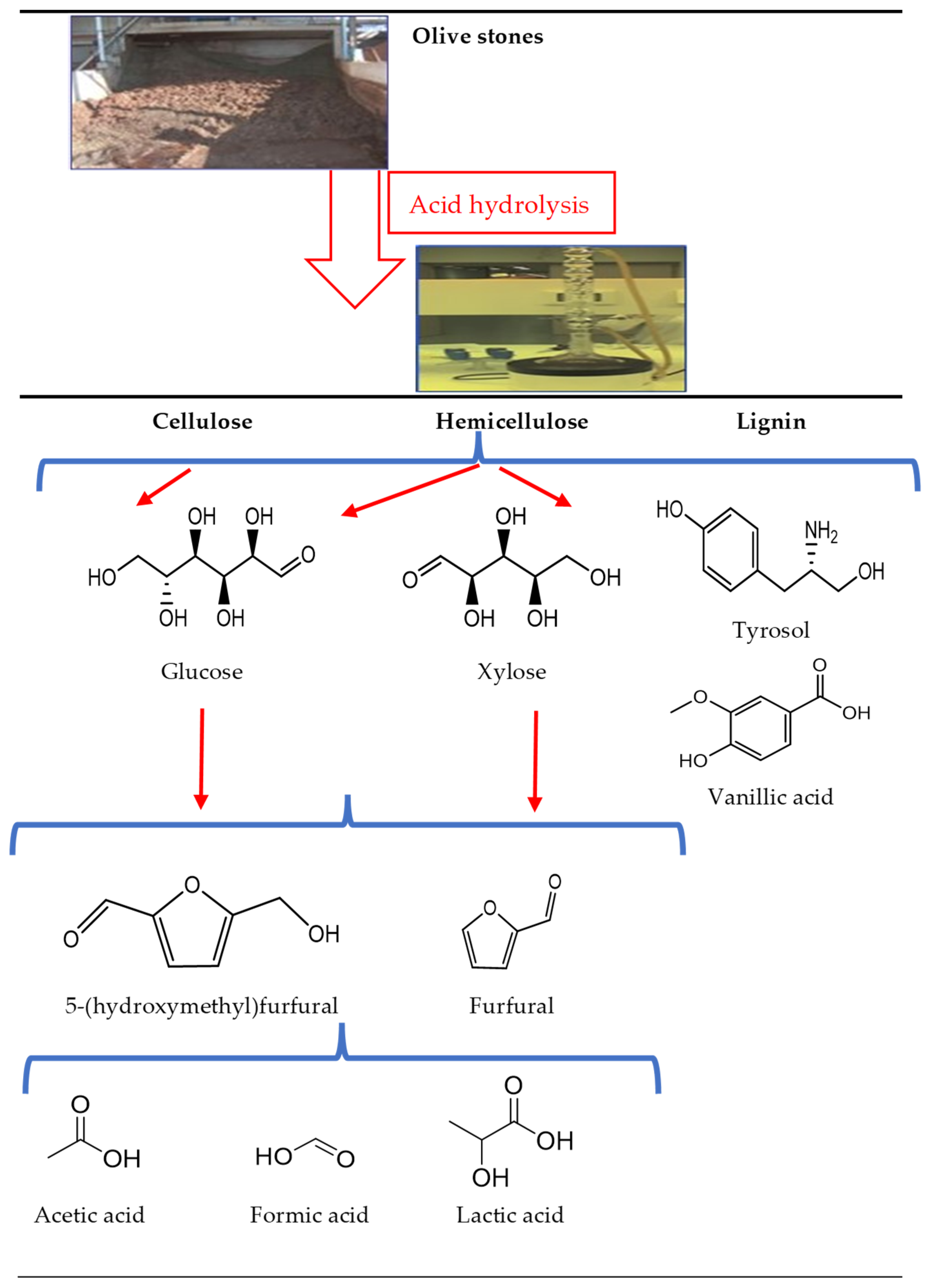 Fermentation 11 00100 g001