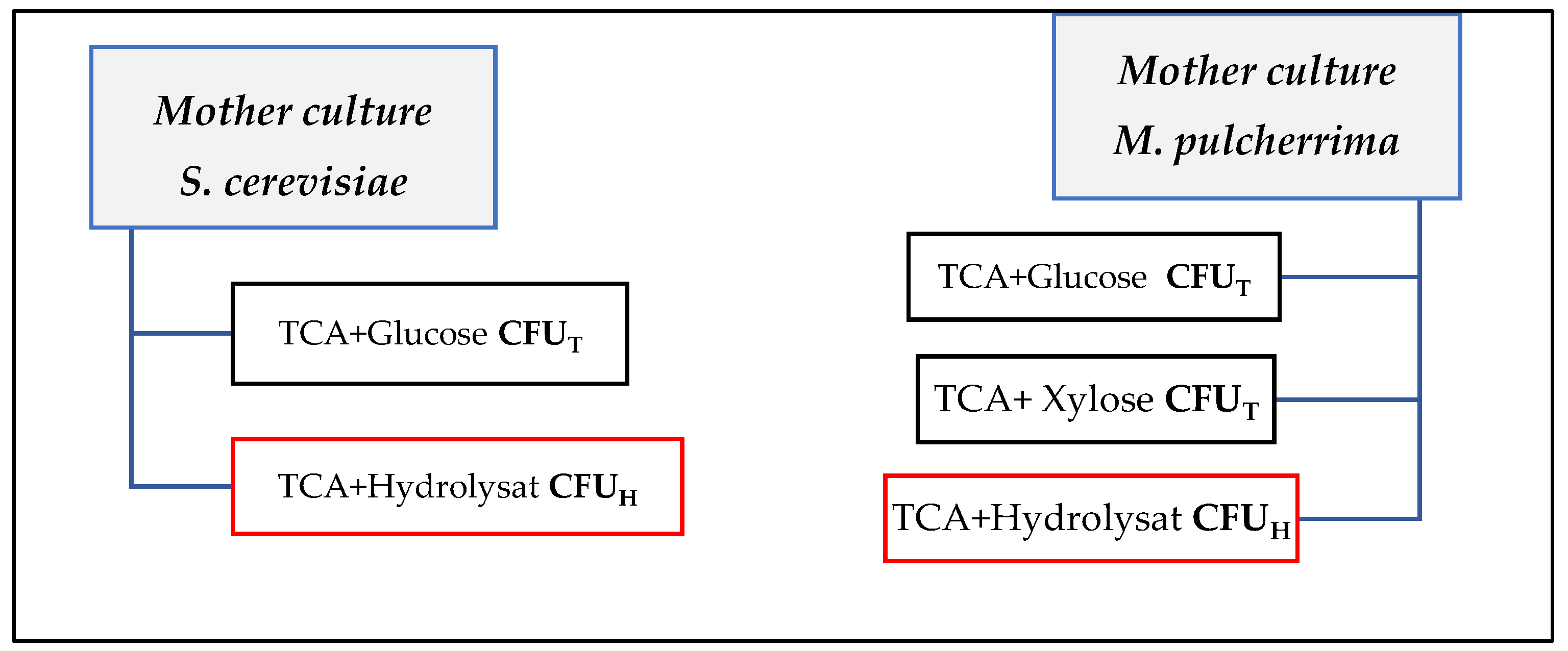 Fermentation 11 00100 g003