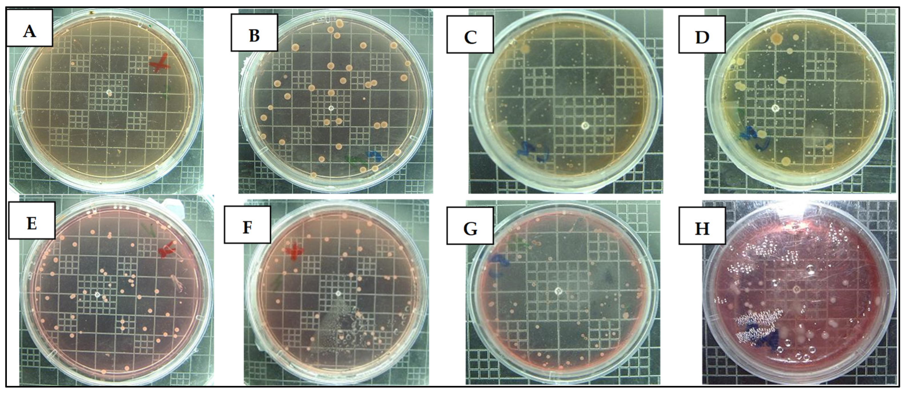 Fermentation 11 00100 g006