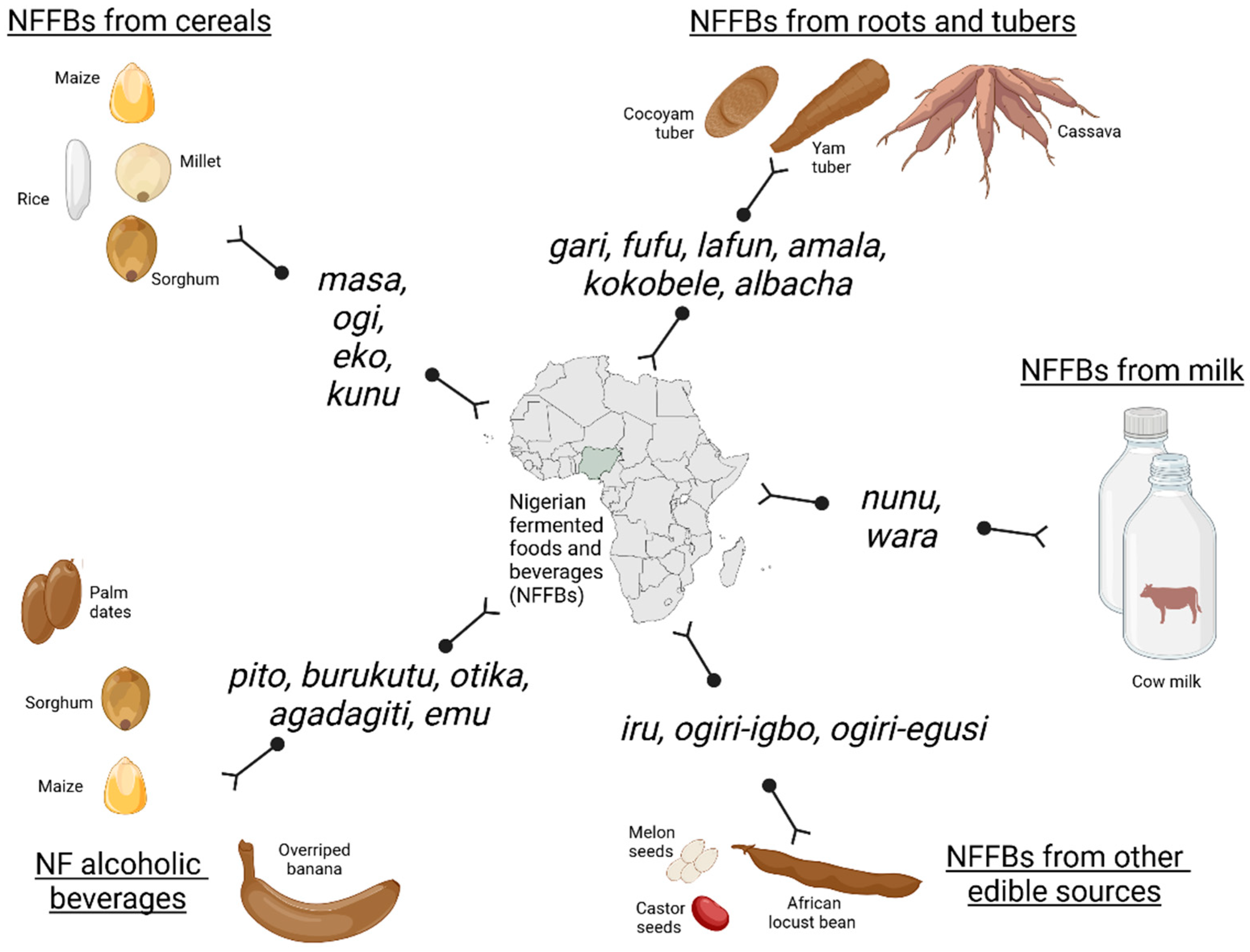Fermentation 11 00103 g001