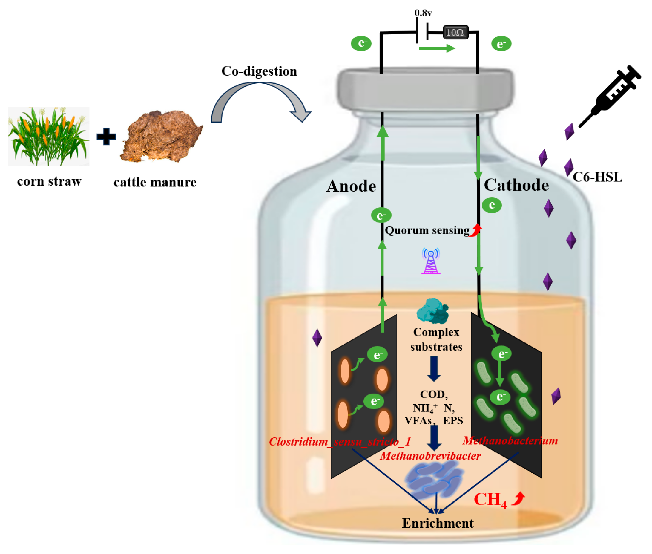 Fermentation 11 00117 g008