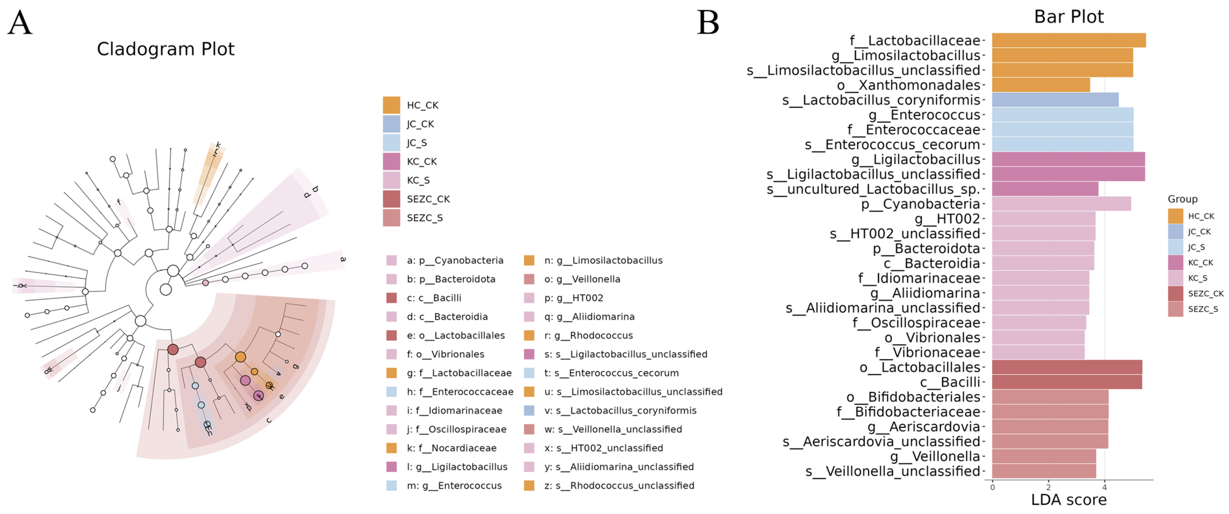 Fermentation 11 00123 g002