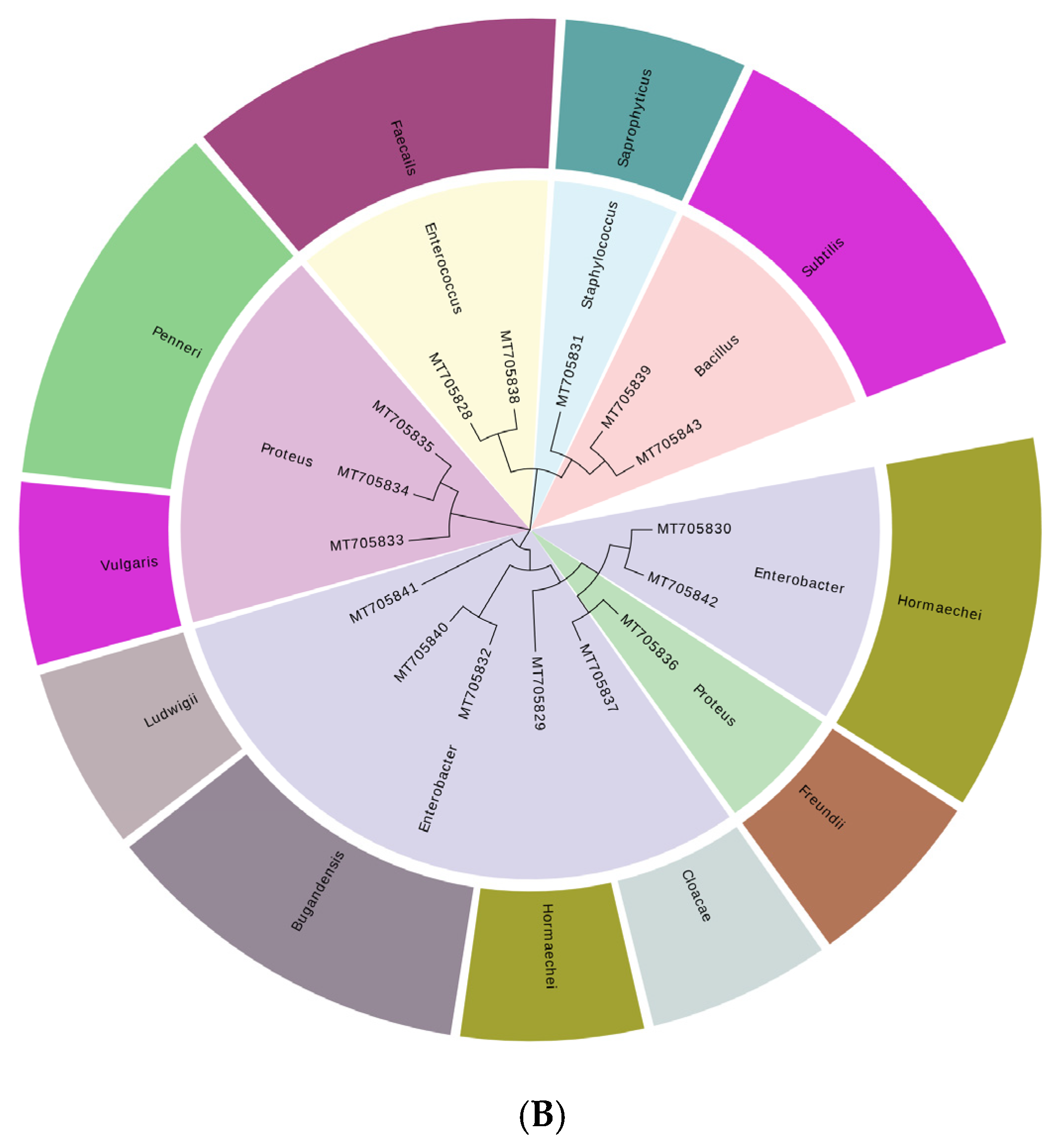 Fermentation 11 00129 g001b