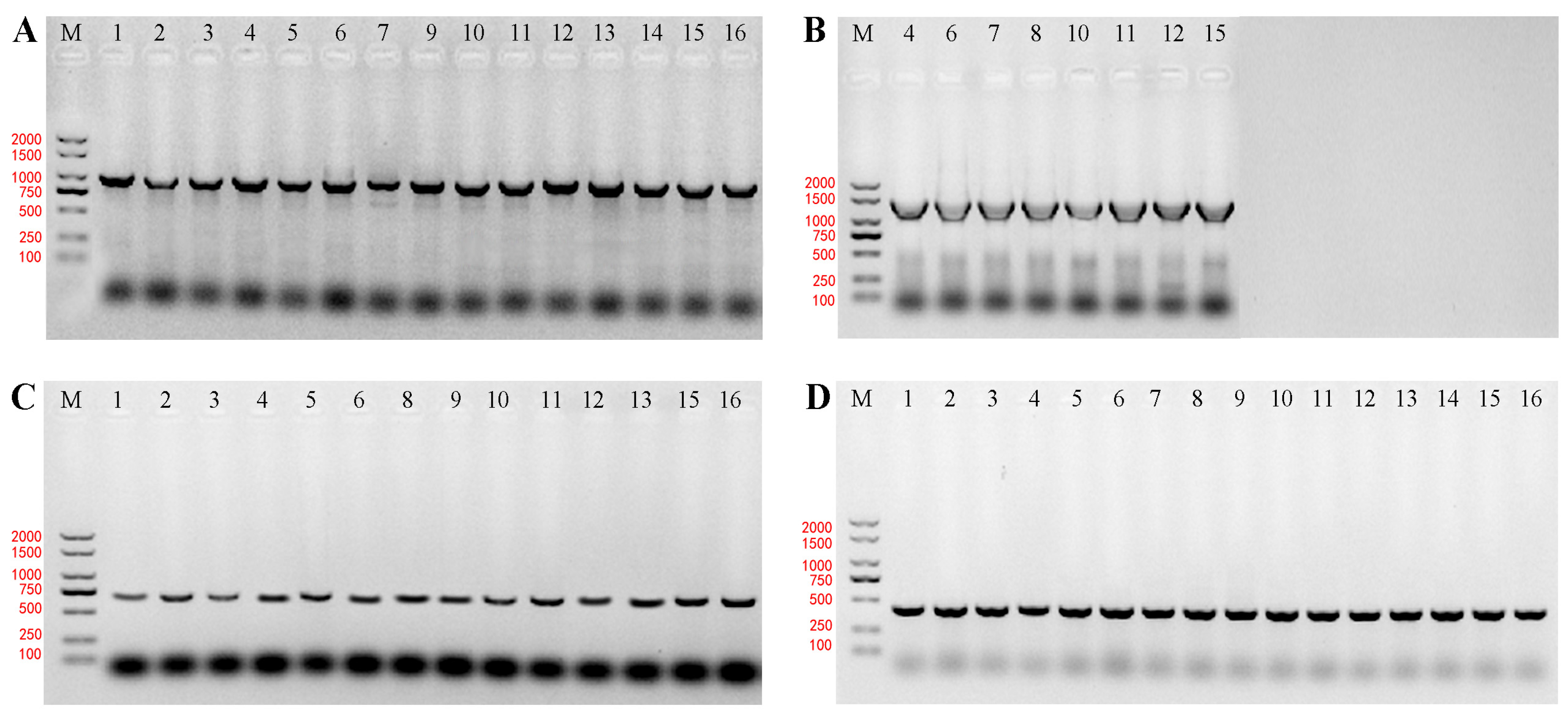 Fermentation 11 00129 g002