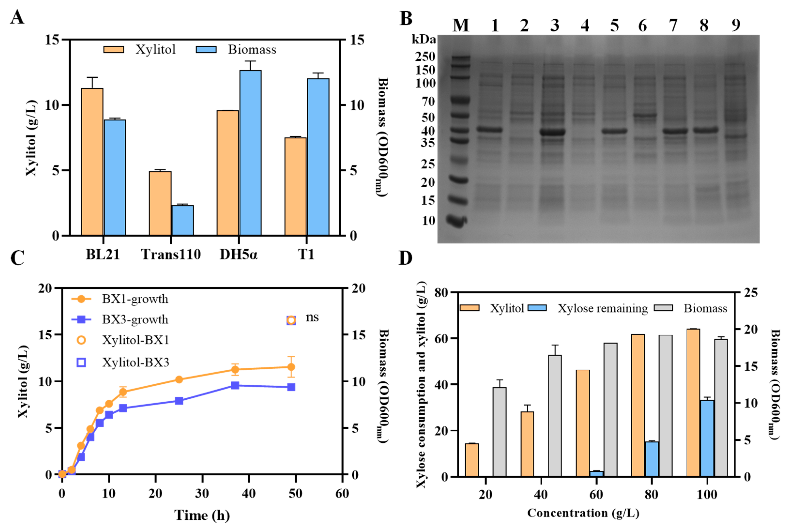 Fermentation 11 00131 g003