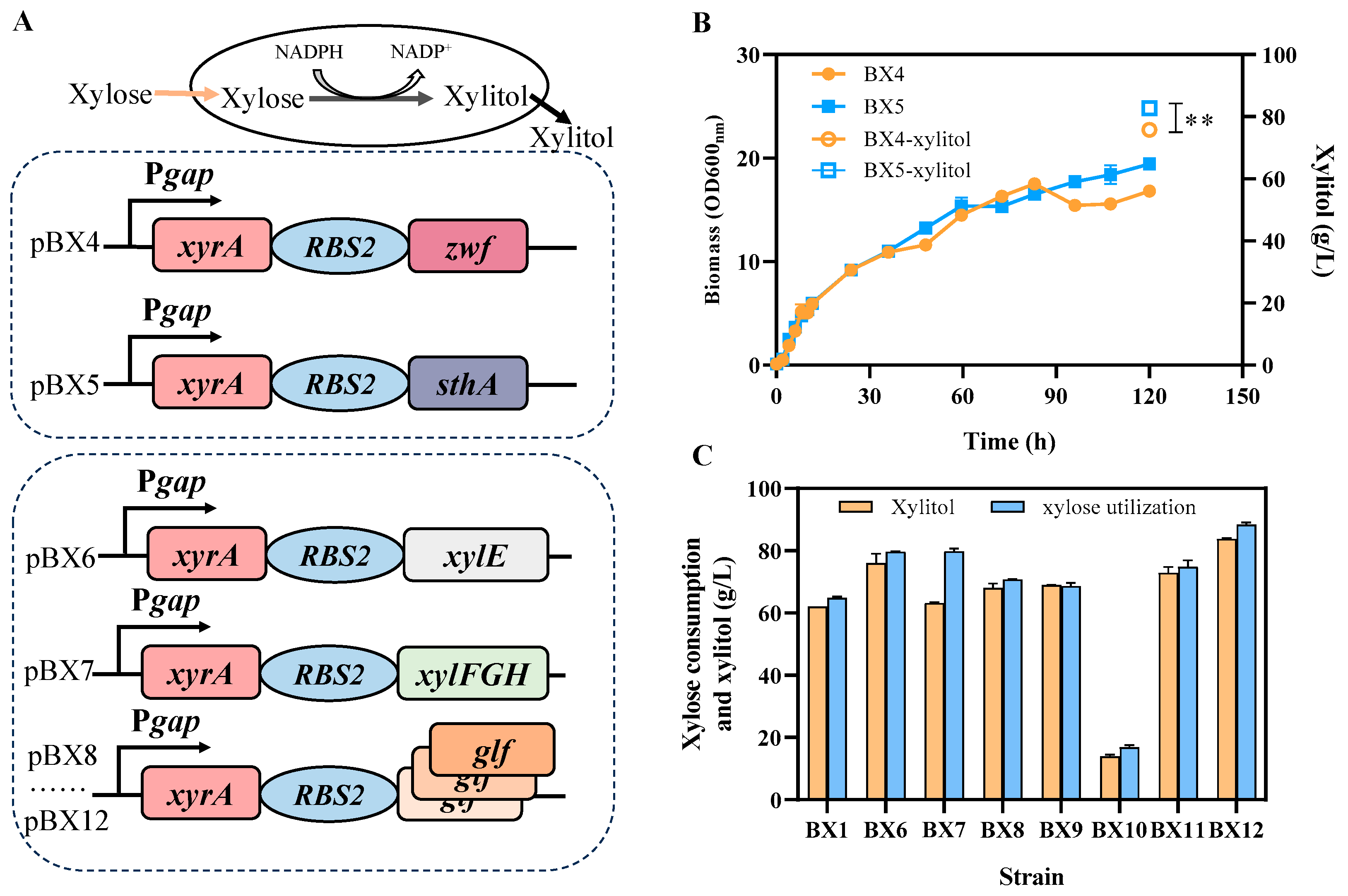 Fermentation 11 00131 g004