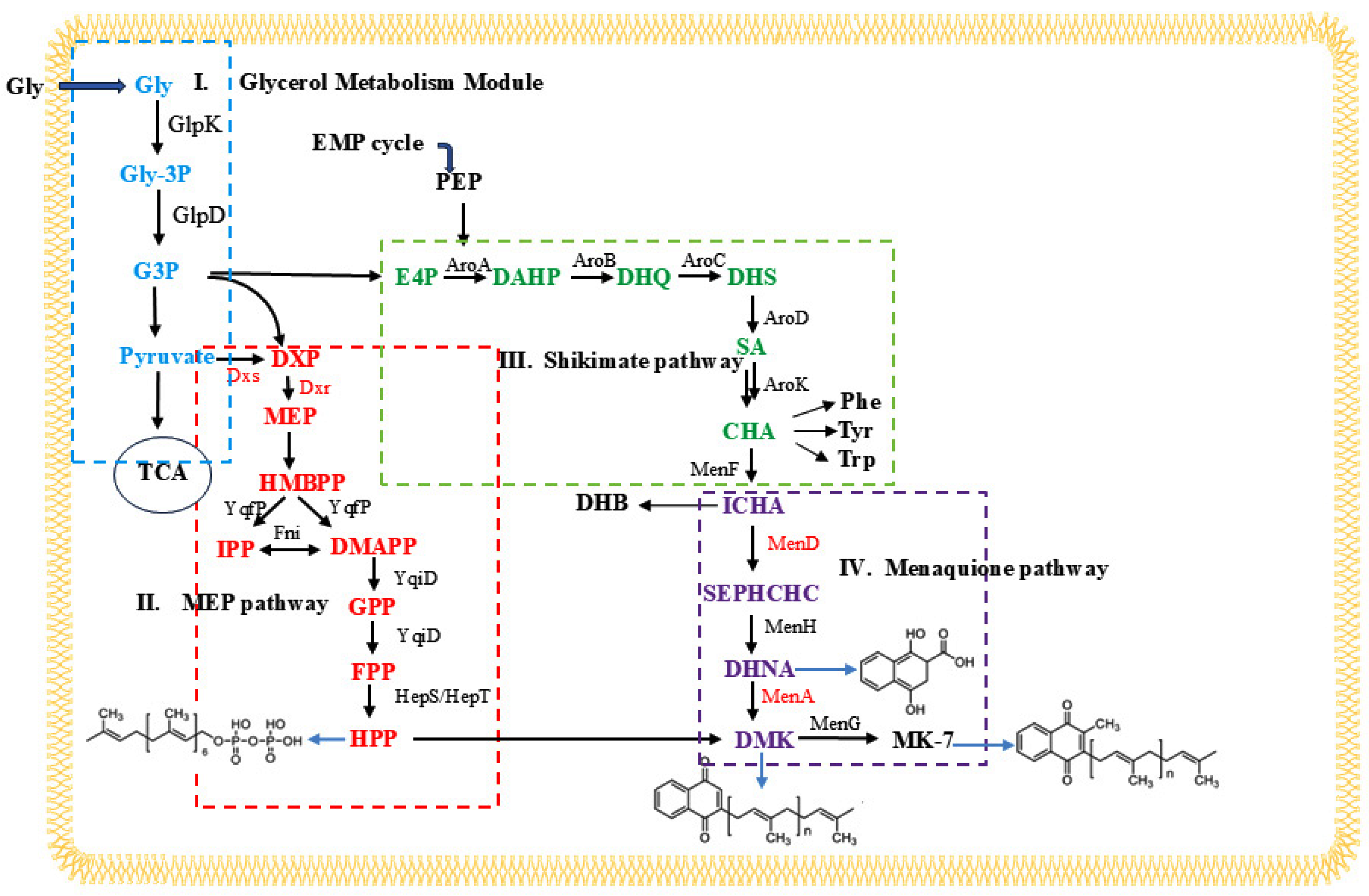 Fermentation 11 00137 g001