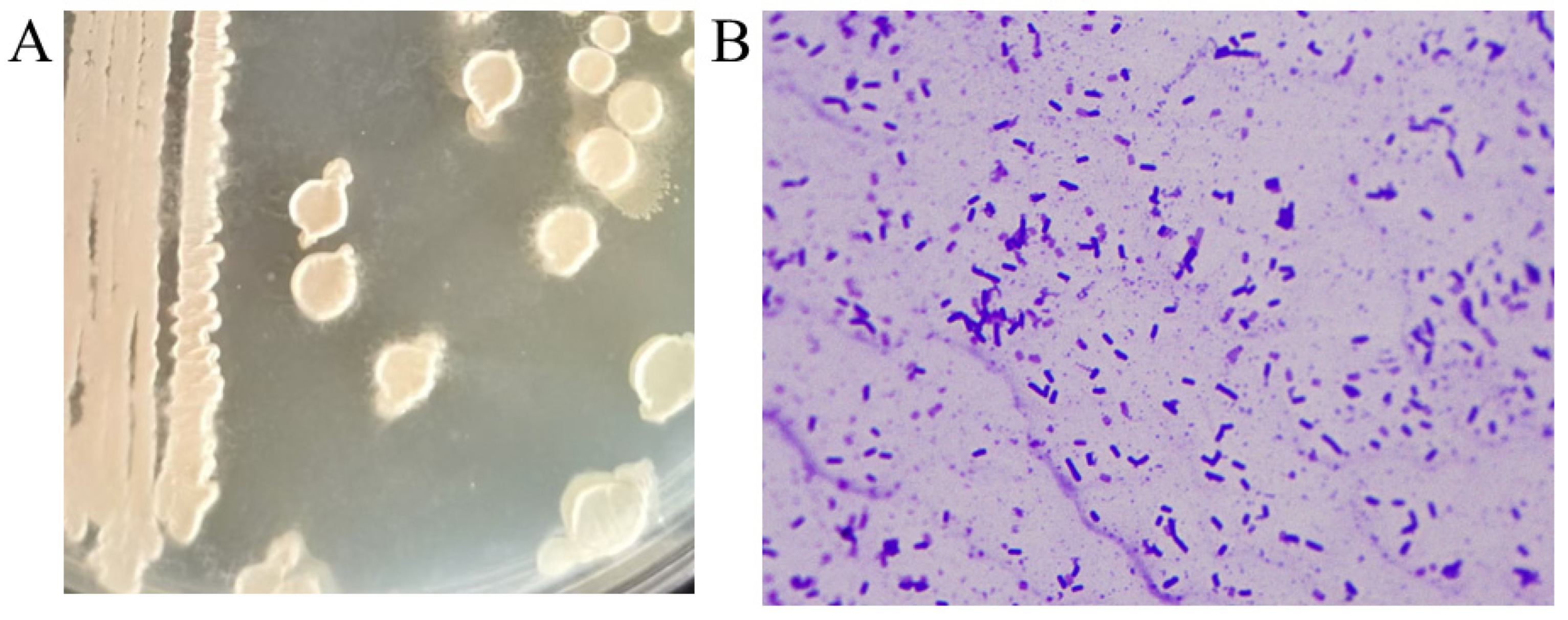 Fermentation 11 00137 g002