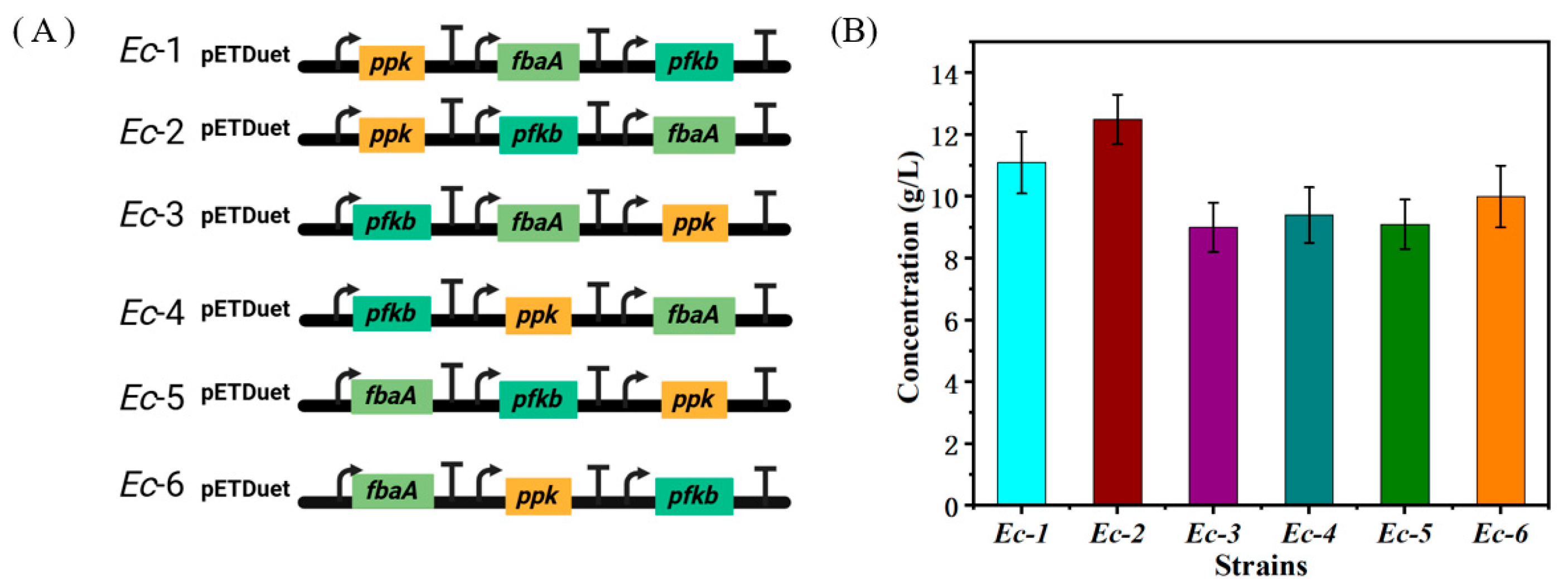 Fermentation 11 00139 g002