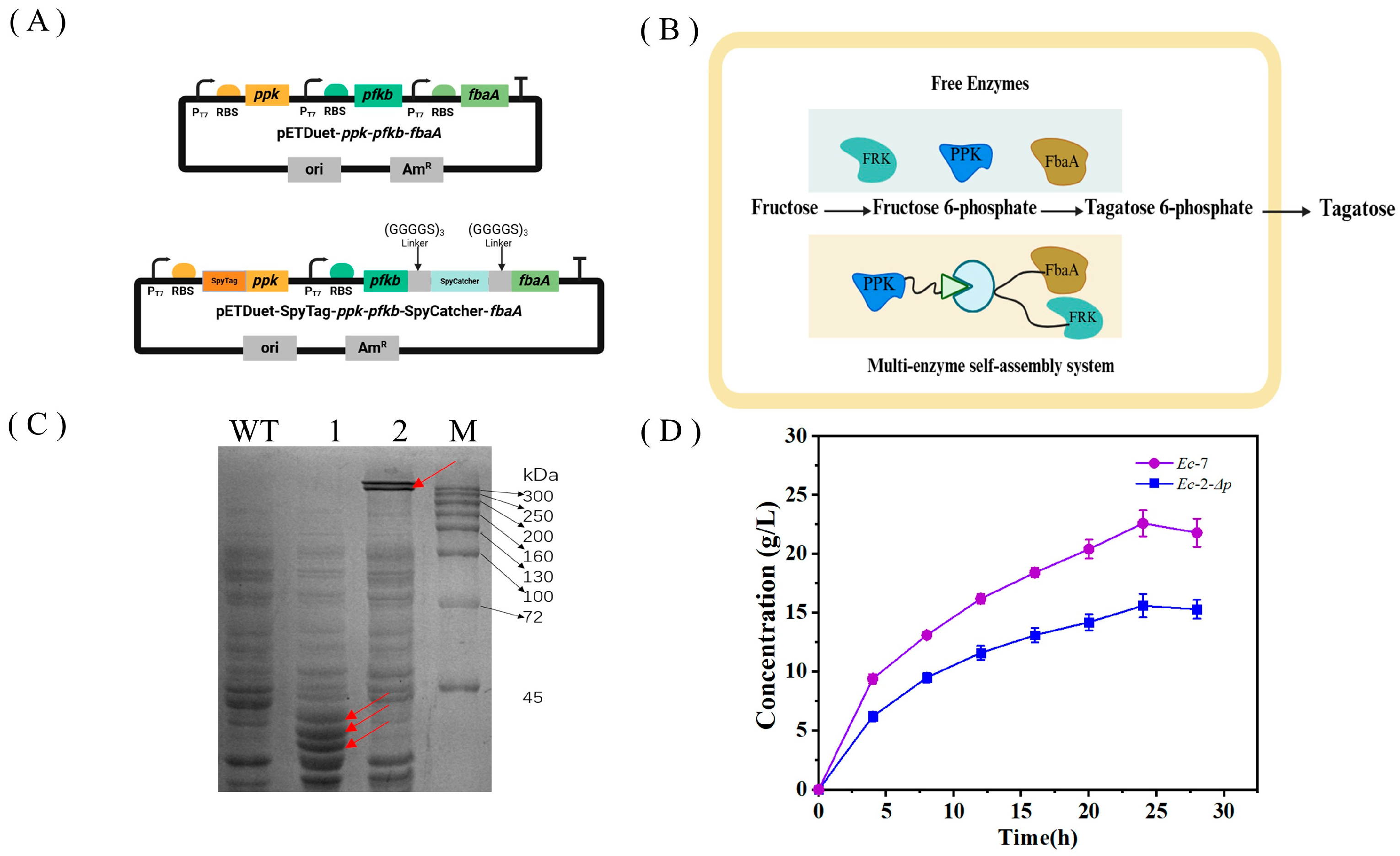 Fermentation 11 00139 g005