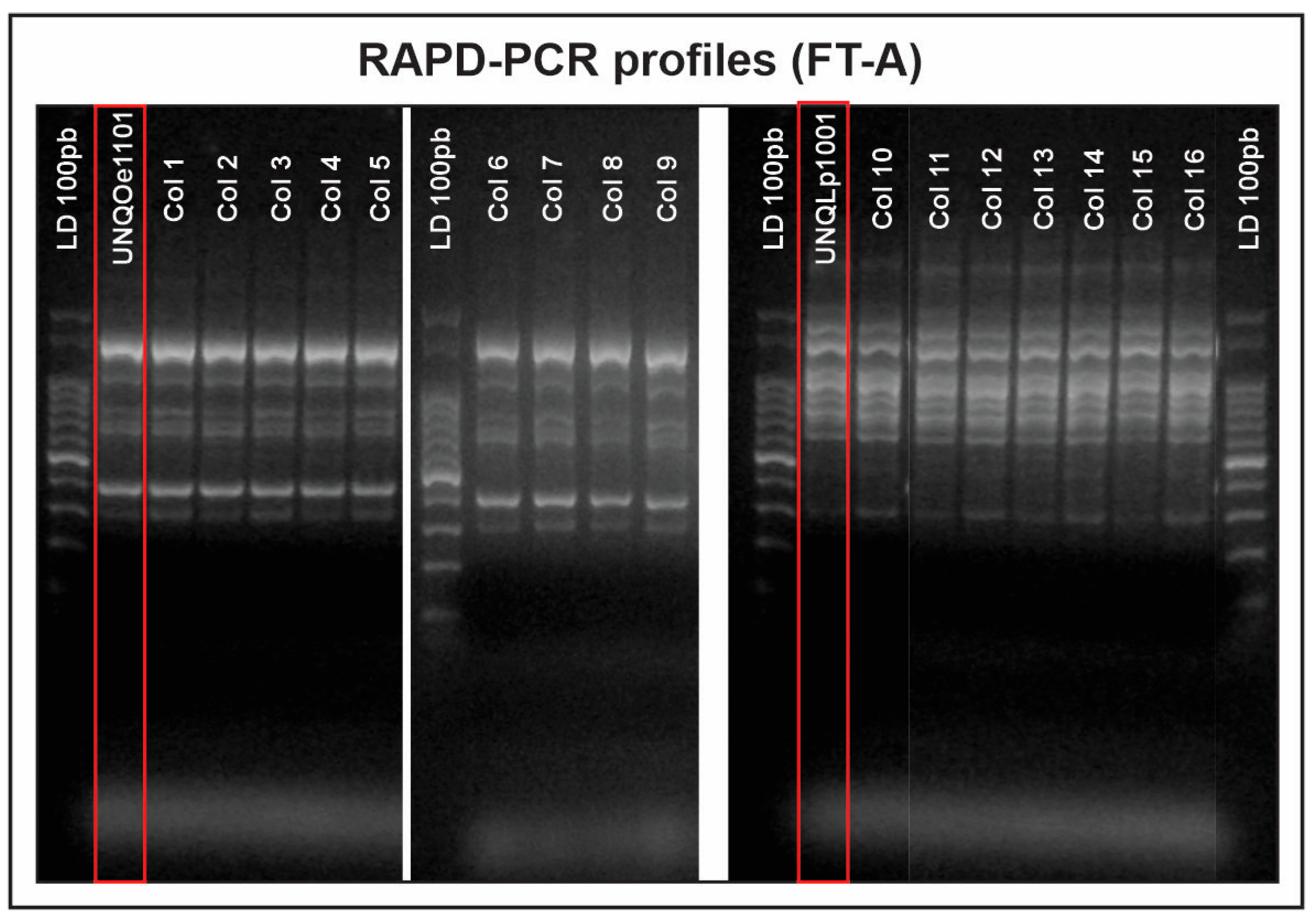 Fermentation 11 00140 g002