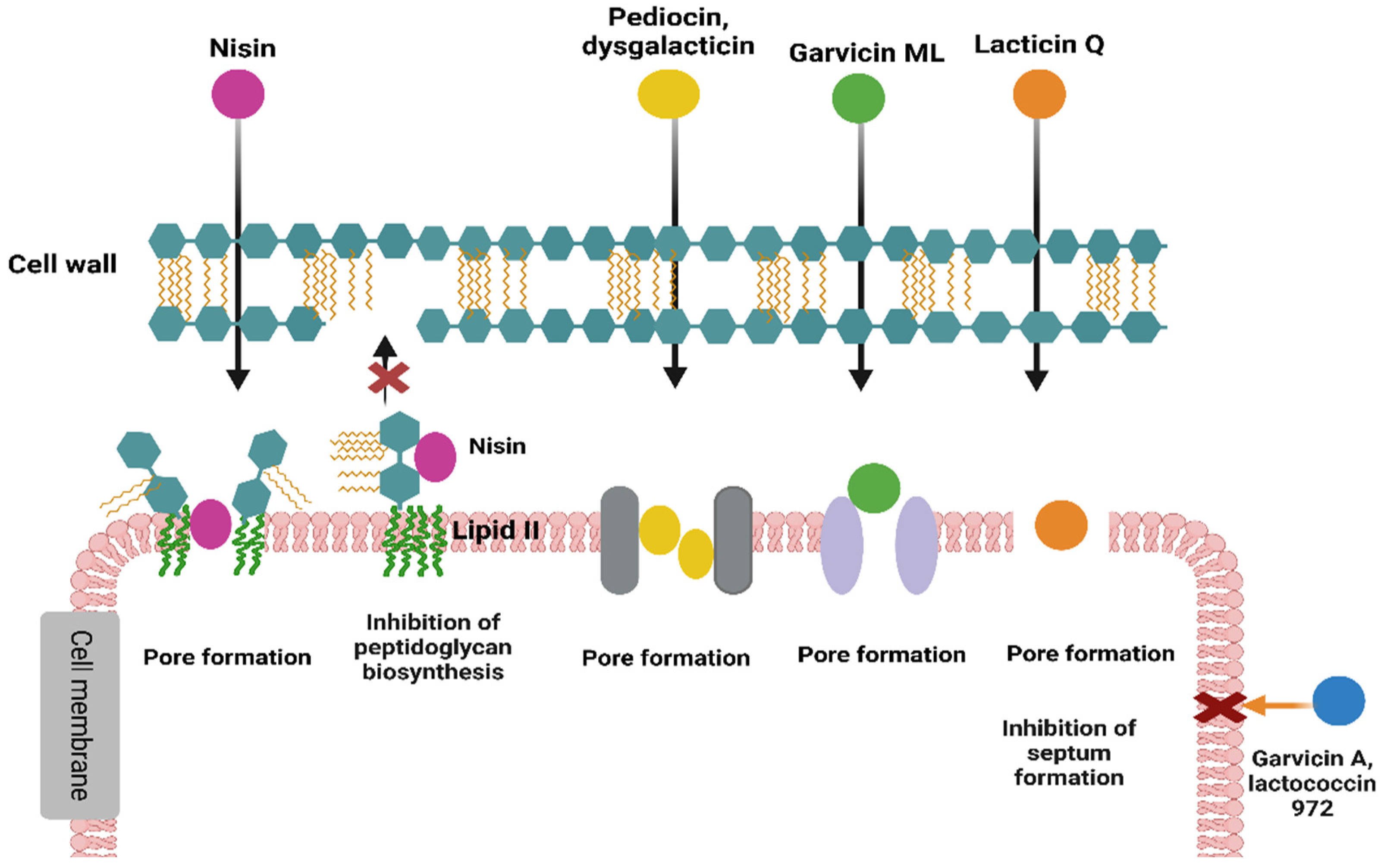 Fermentation 11 00142 g003