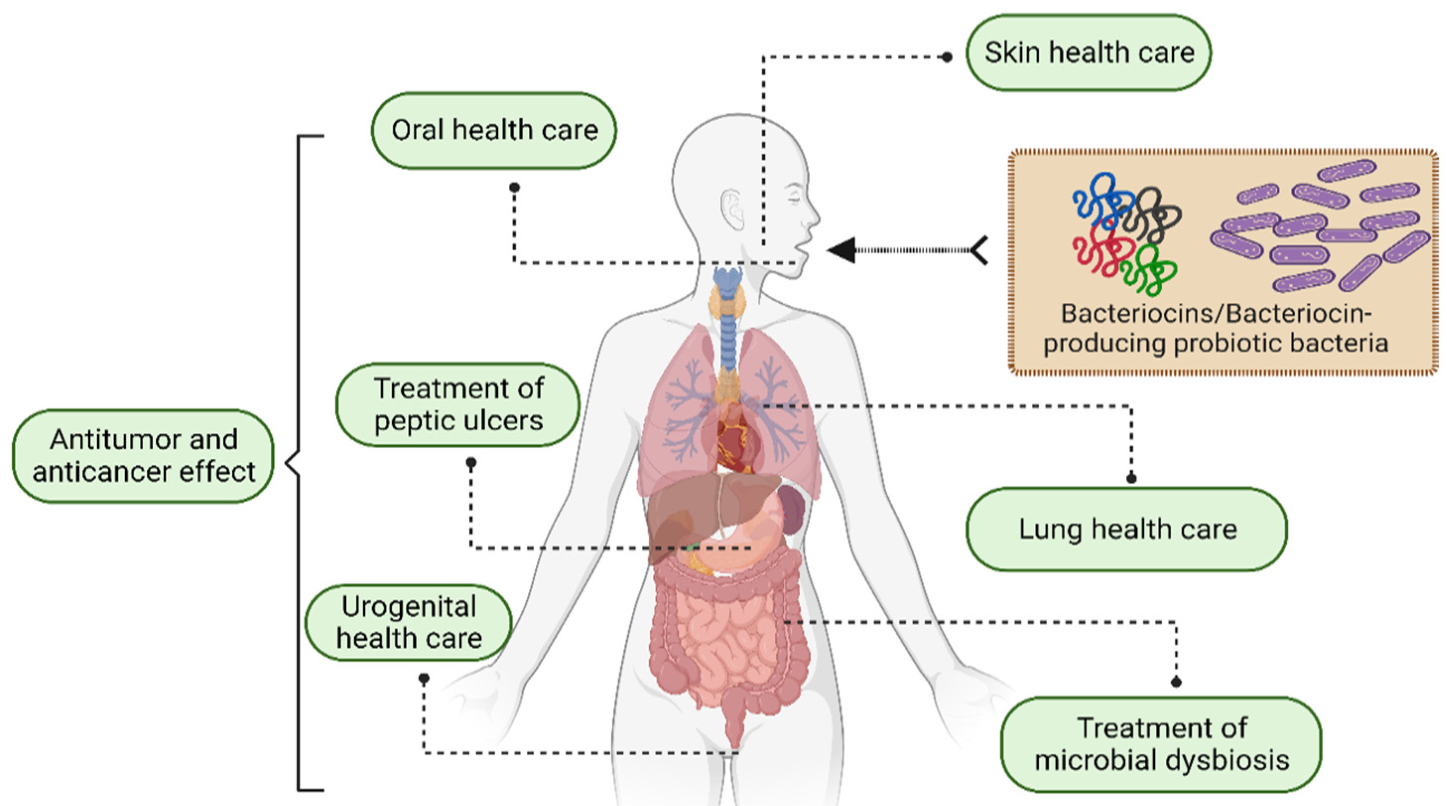 Fermentation 11 00142 g005