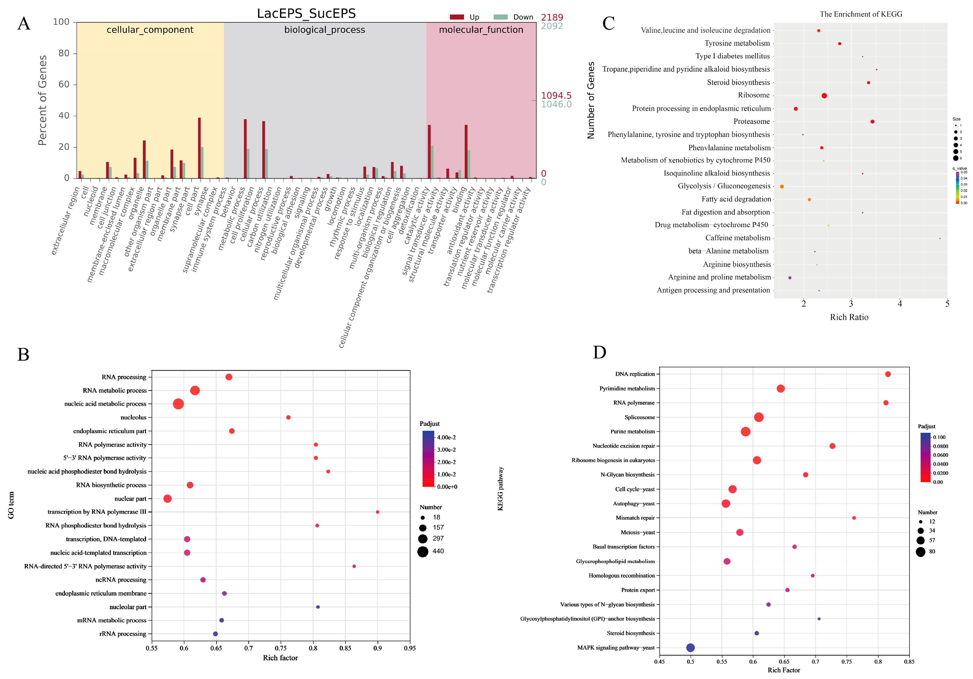 Fermentation 11 00143 g002