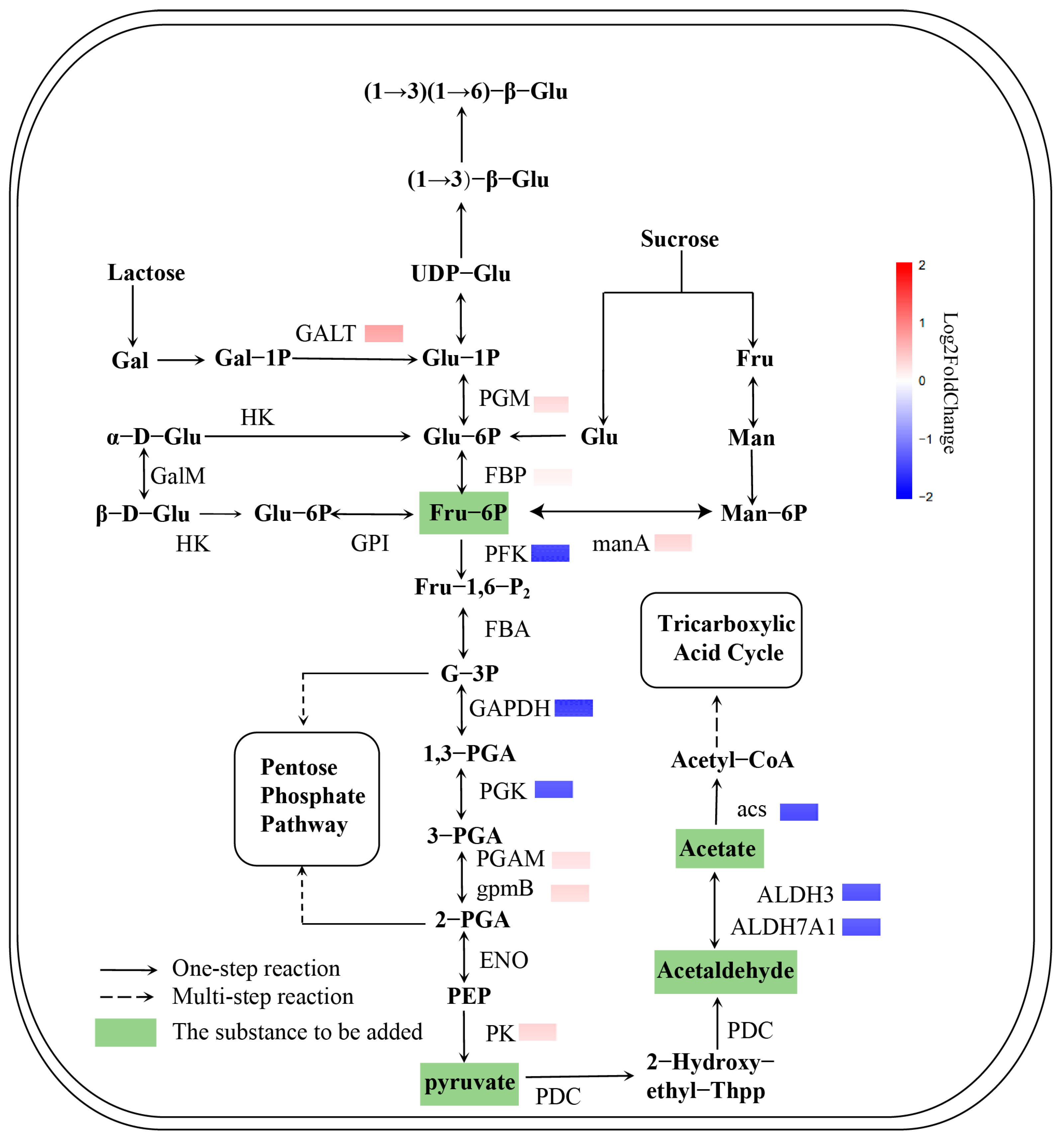 Fermentation 11 00143 g004