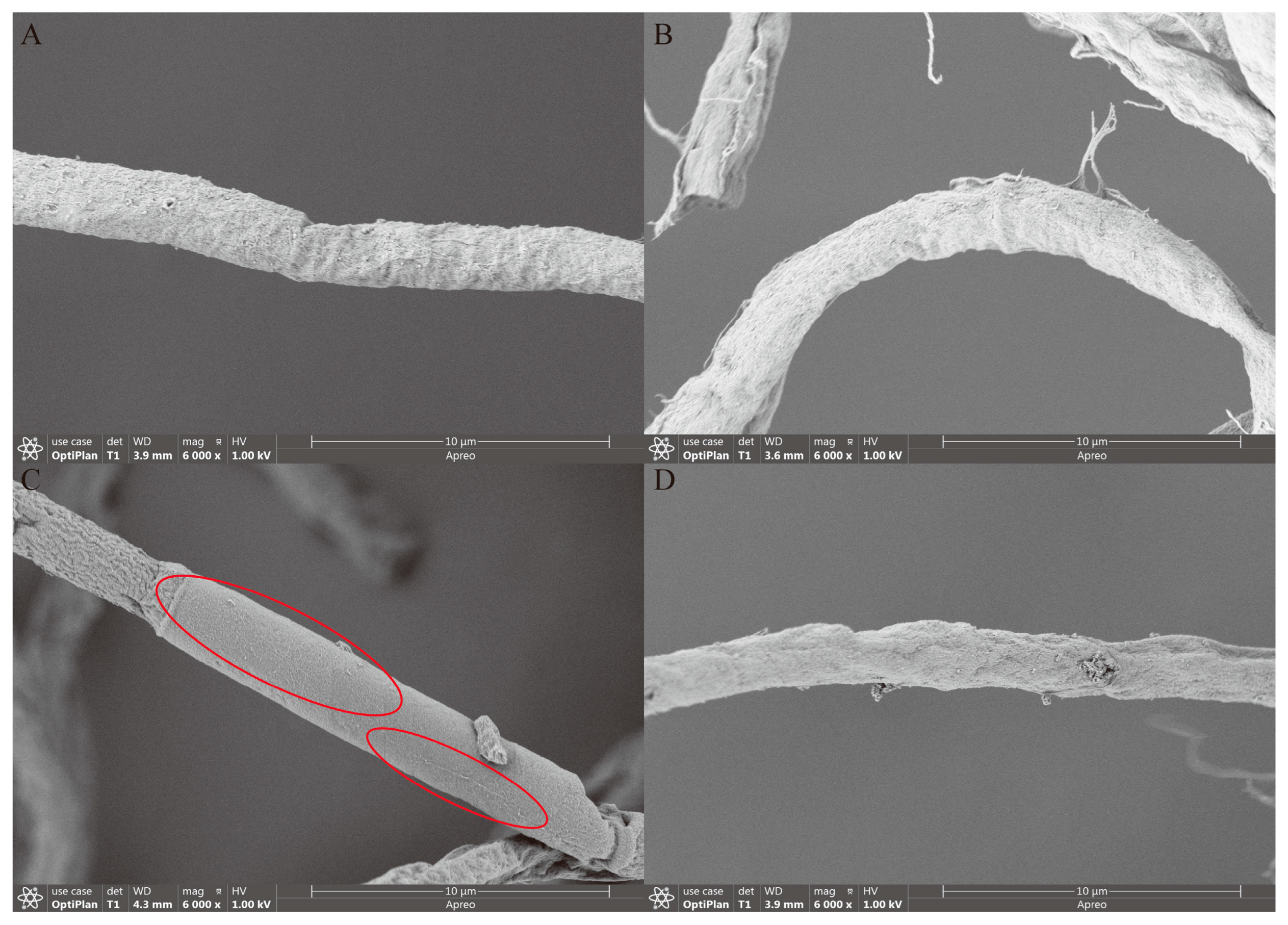 Fermentation 11 00143 g005