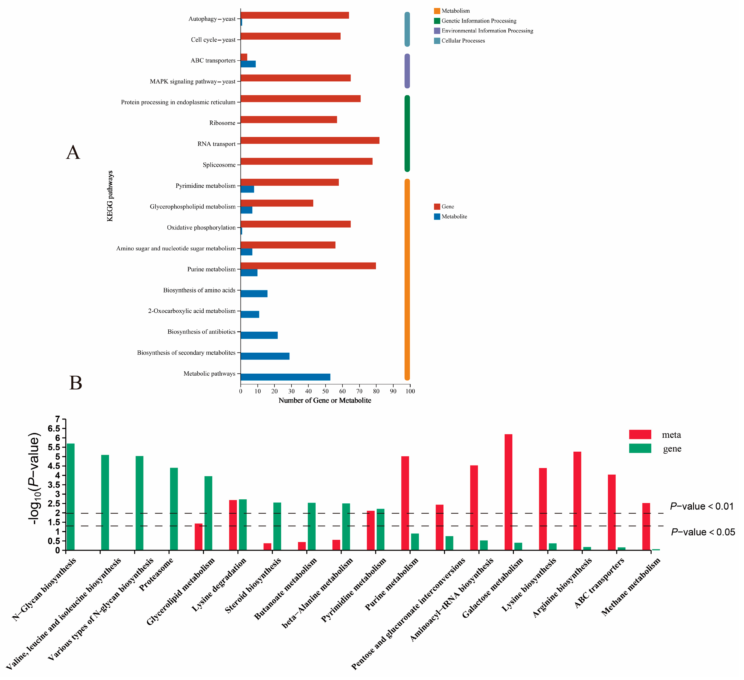Fermentation 11 00143 g0a3