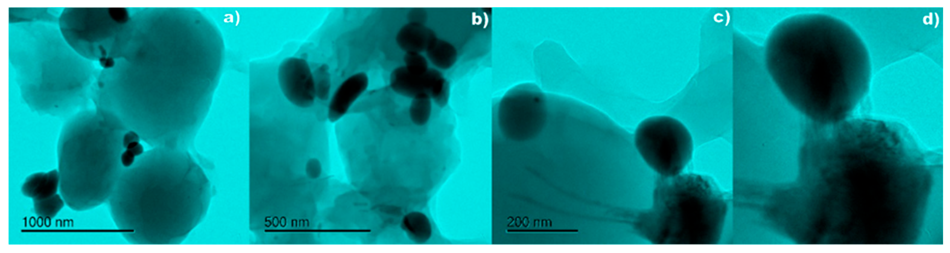 Fermentation 11 00144 g004