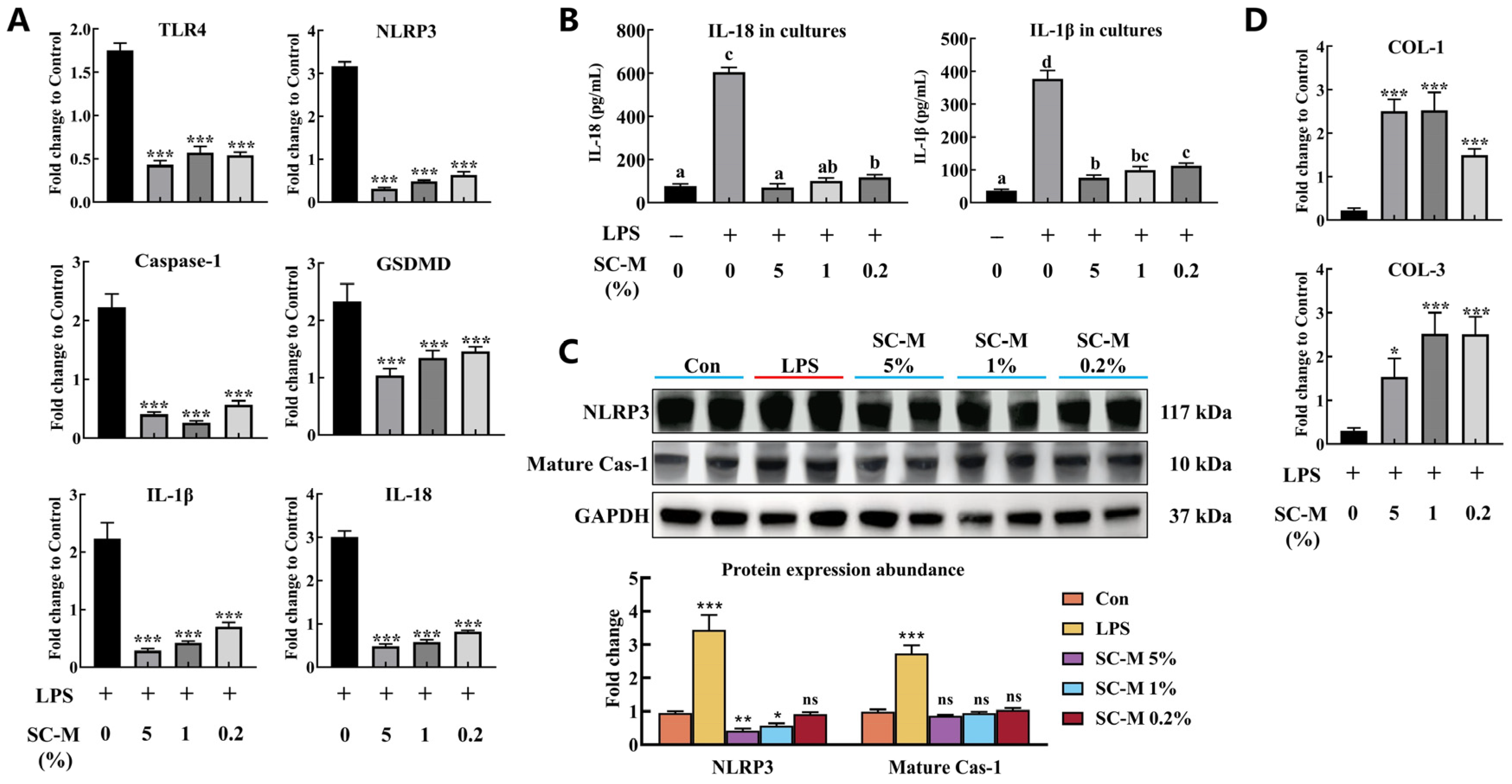 Fermentation 11 00145 g004