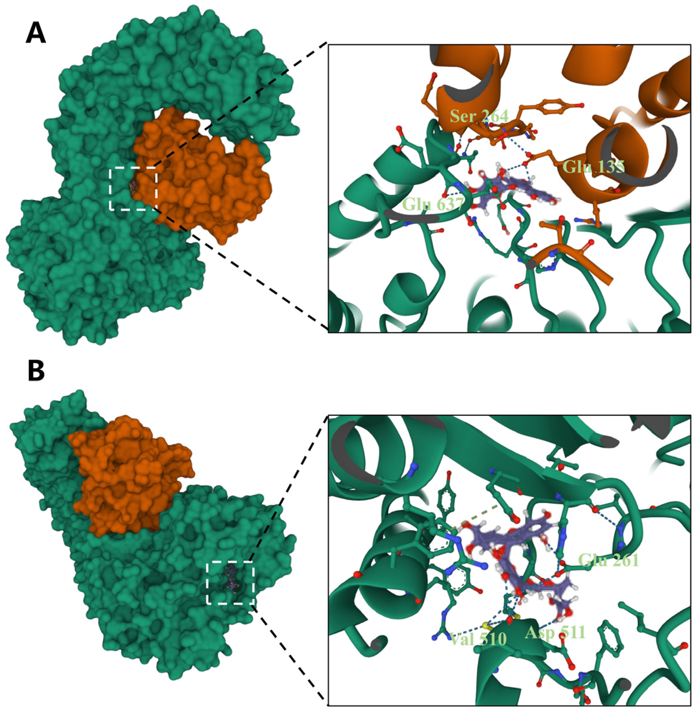 Fermentation 11 00145 g005