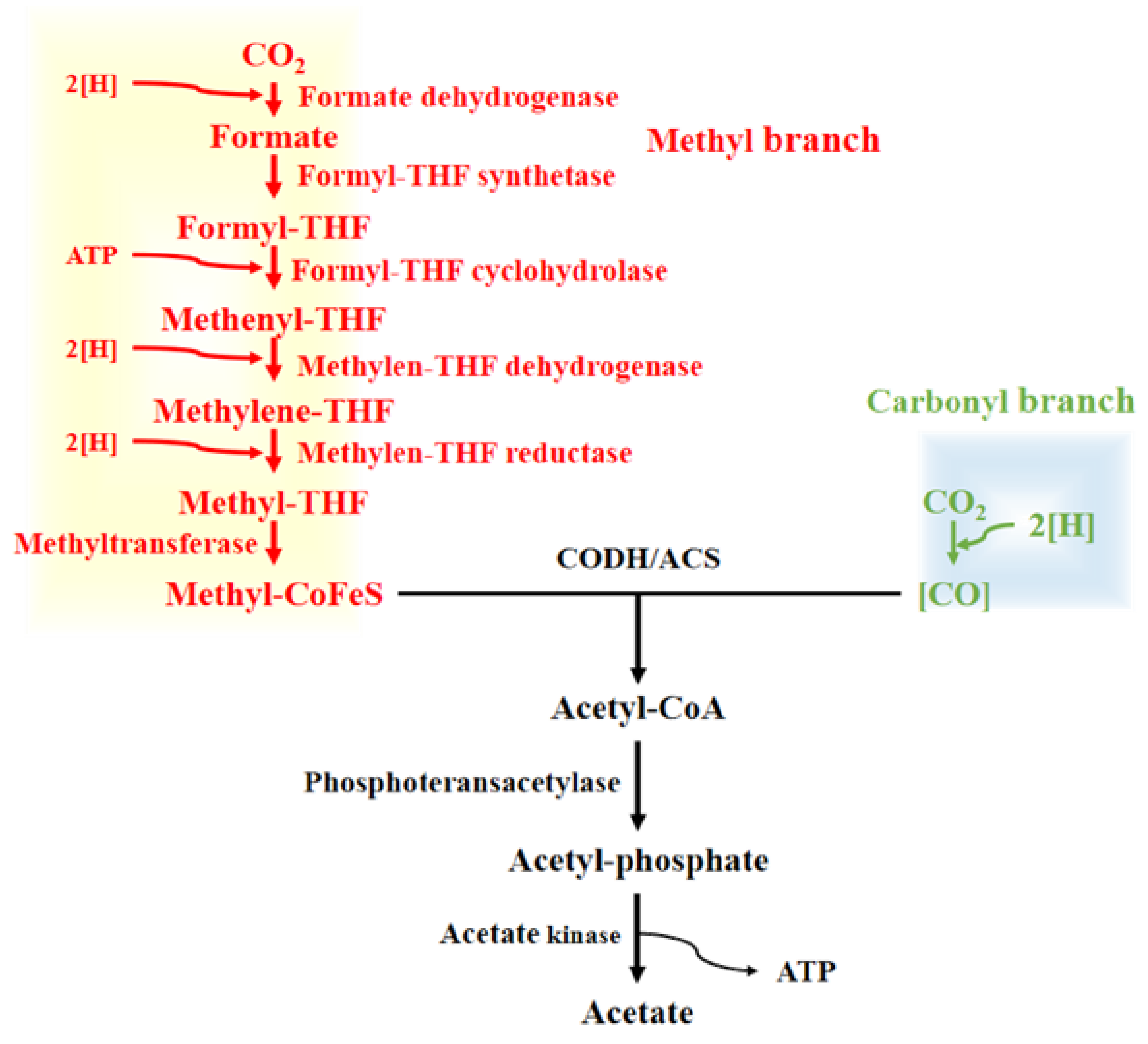 Fermentation 11 00154 g001