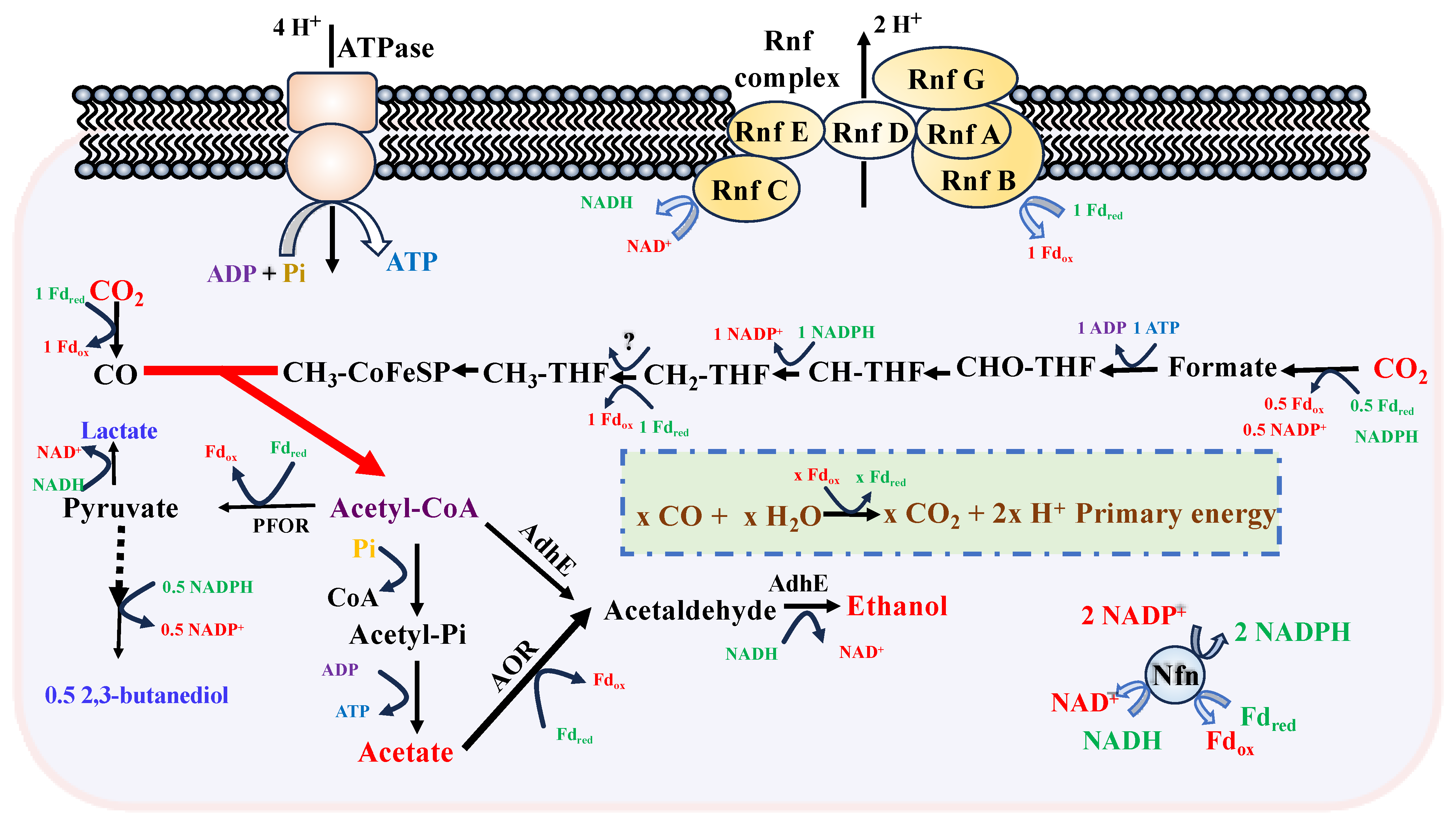 Fermentation 11 00154 g002